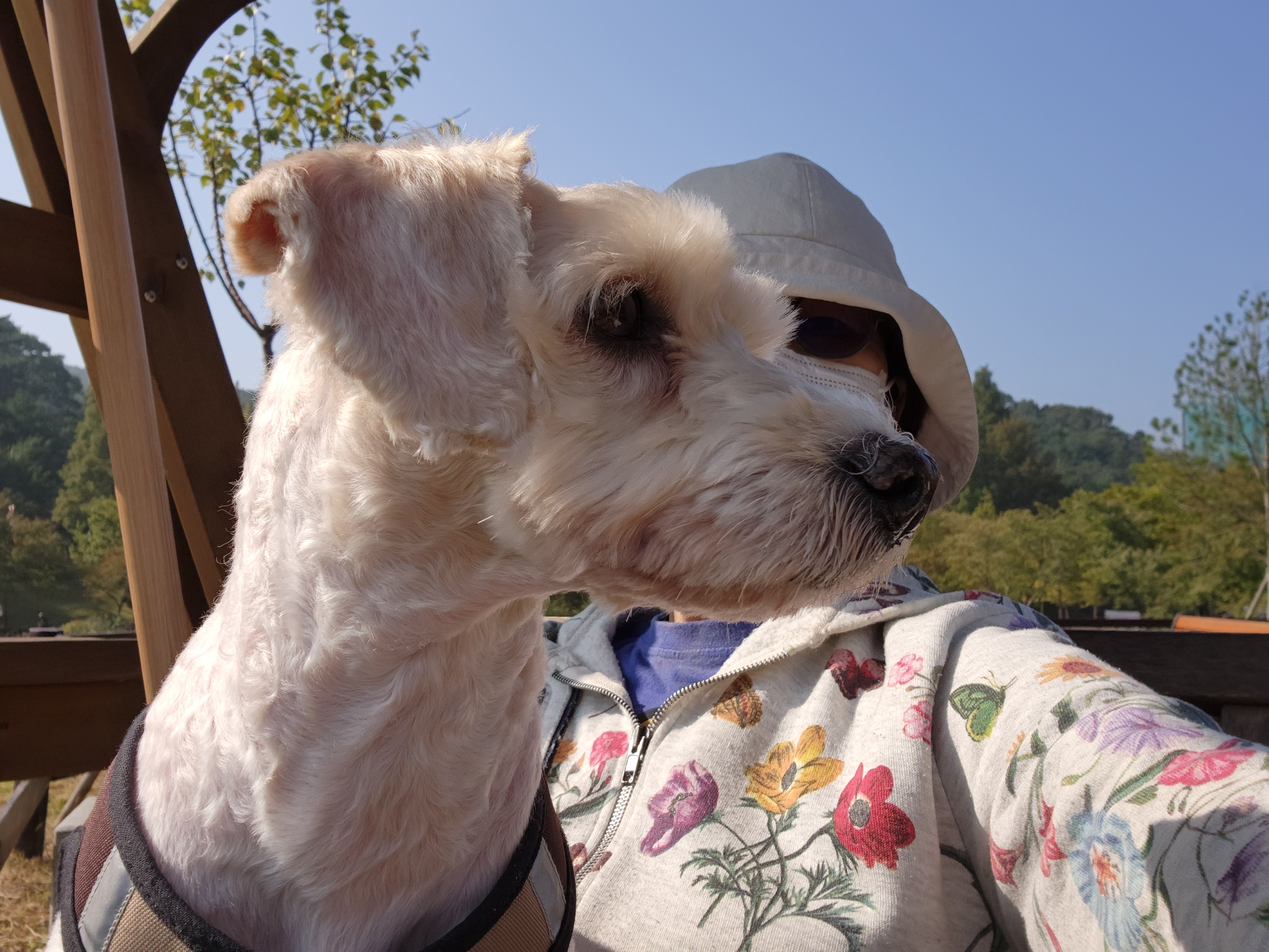 우리 금동(은돌) 이야기