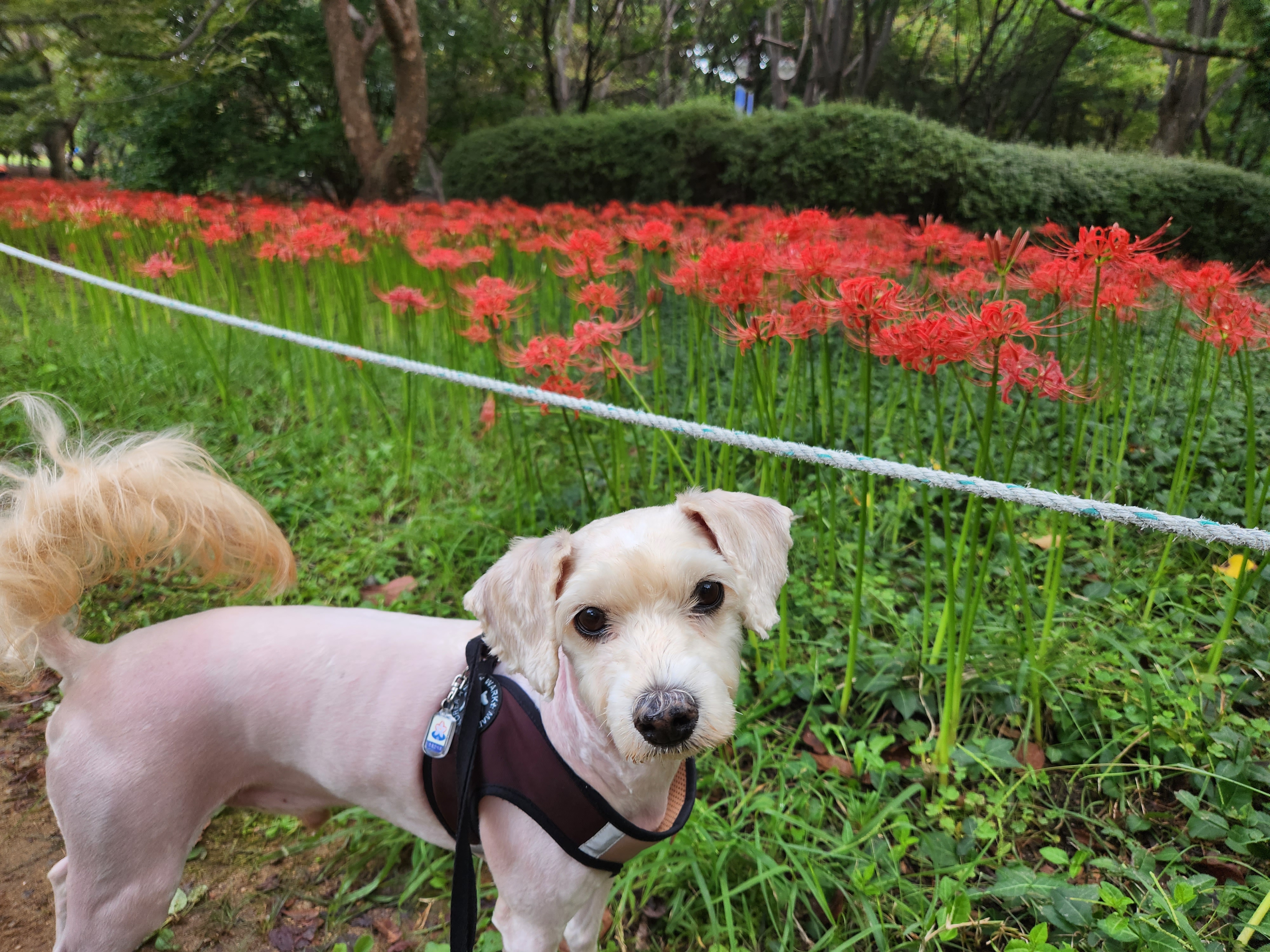 우리 금동(은돌) 이야기