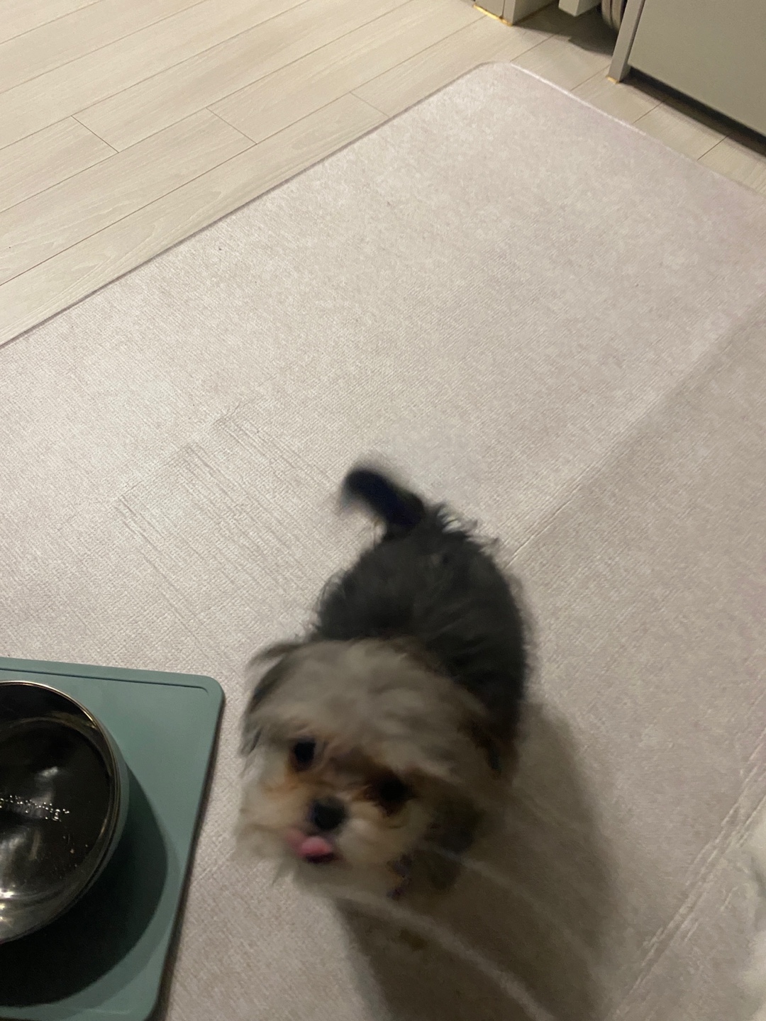 자반(소삼)이 함께한 지 3개월차 후기 ❤️