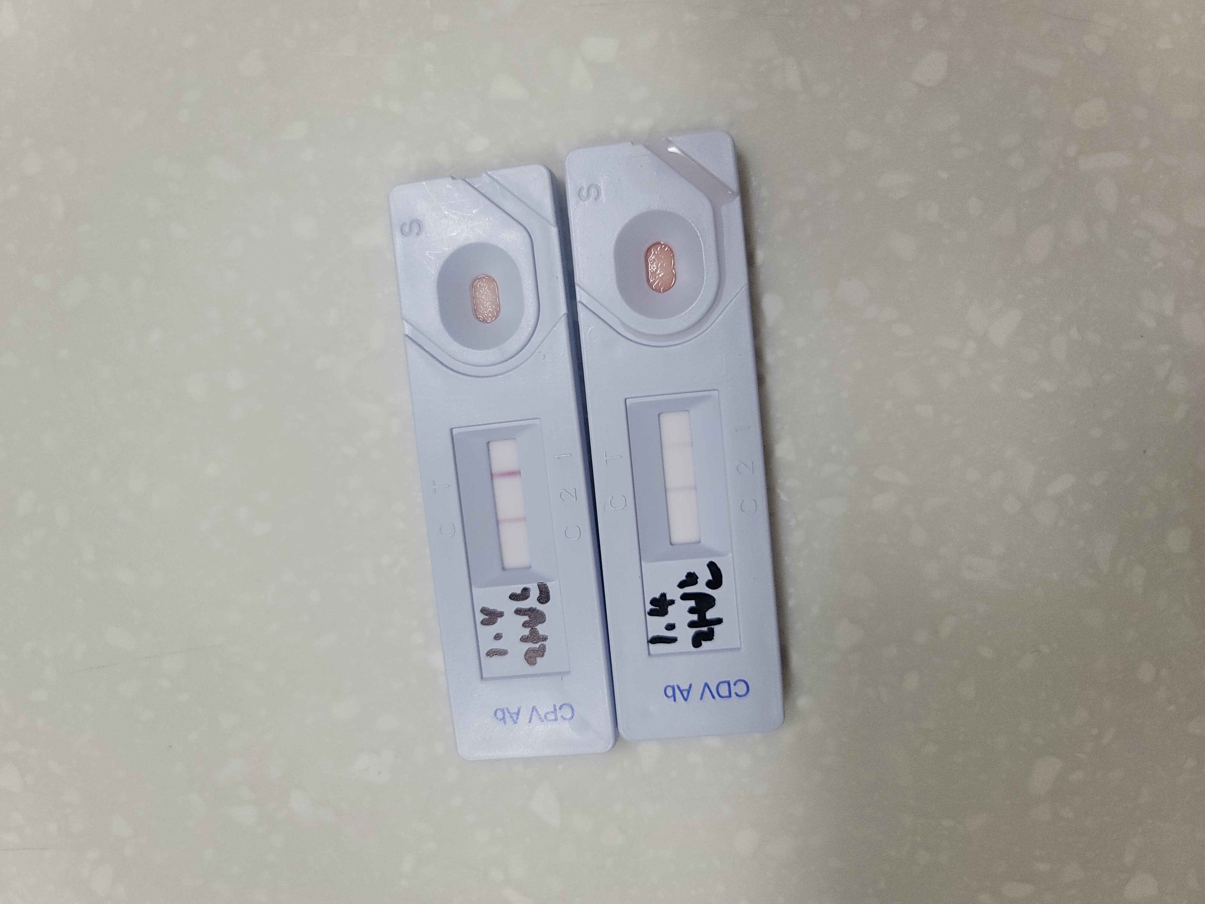 자반(소삼)이 함께한 지 3개월차 후기 ❤️