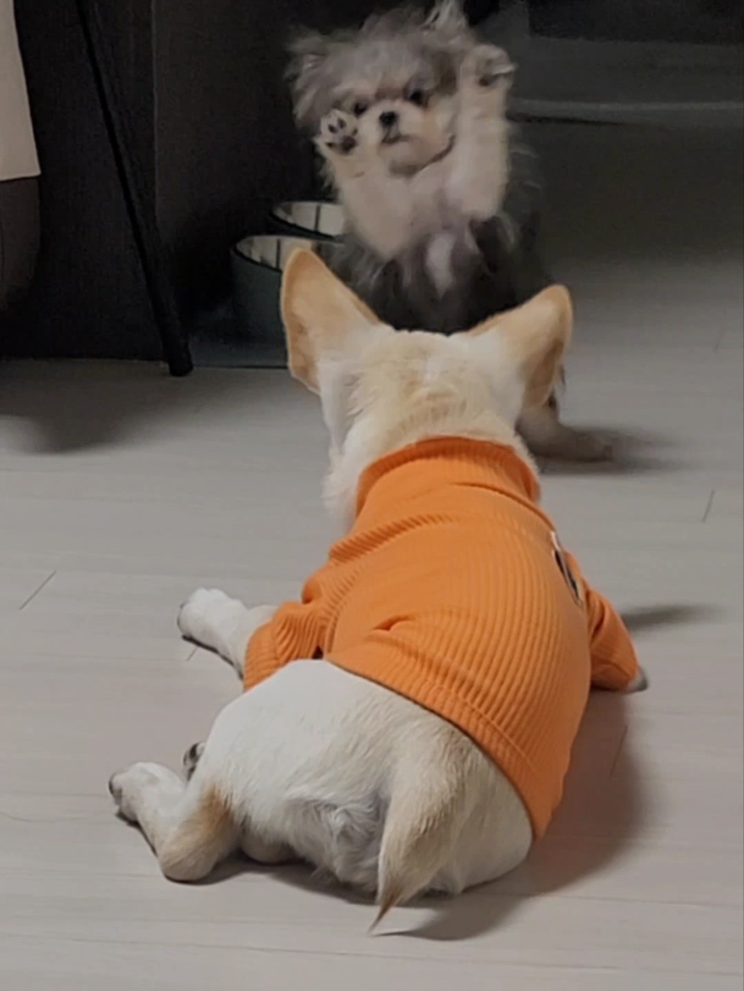 자반(소삼)이 함께한 지 3개월차 후기 ❤️