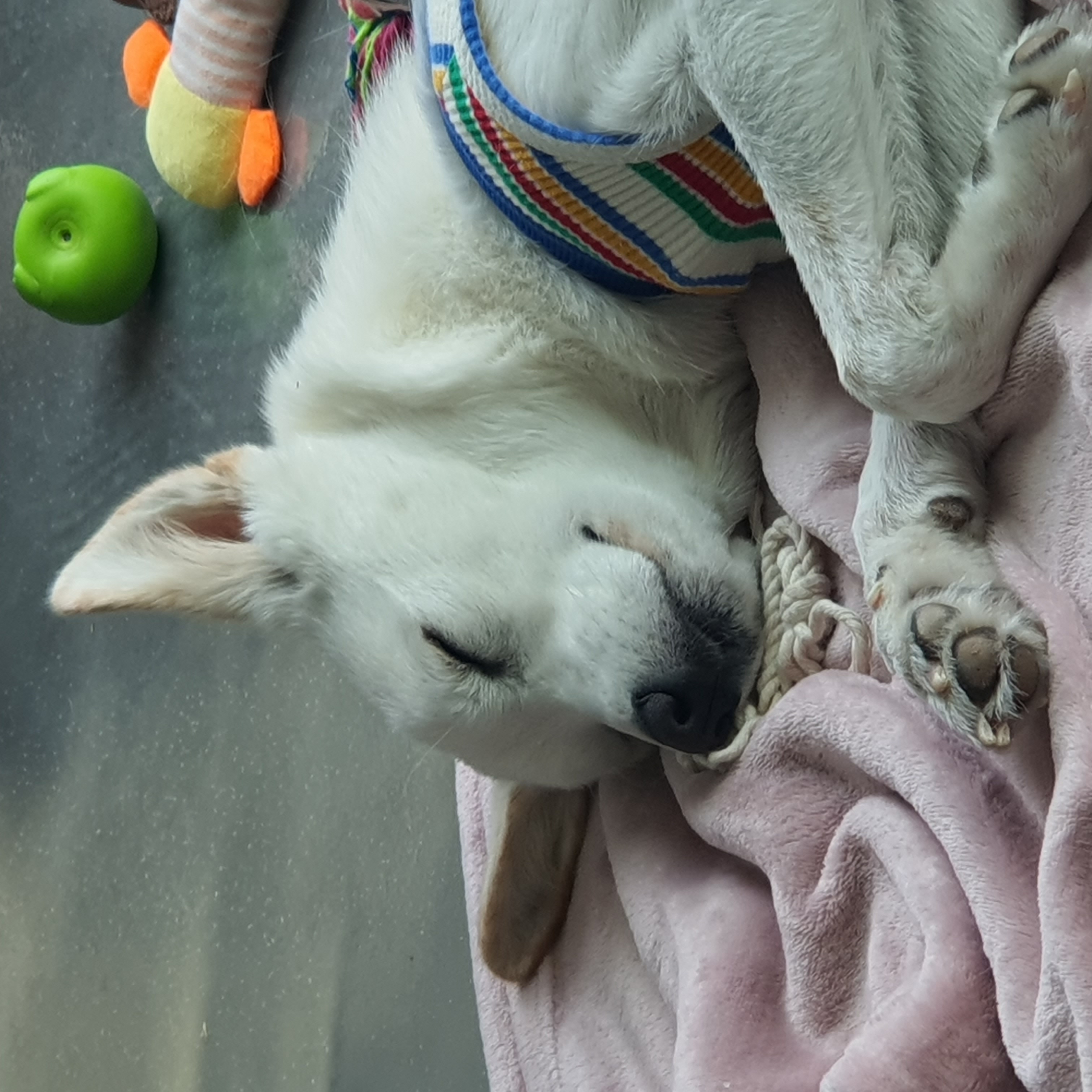 만세의 3개월차 이야기ㅎㅎ