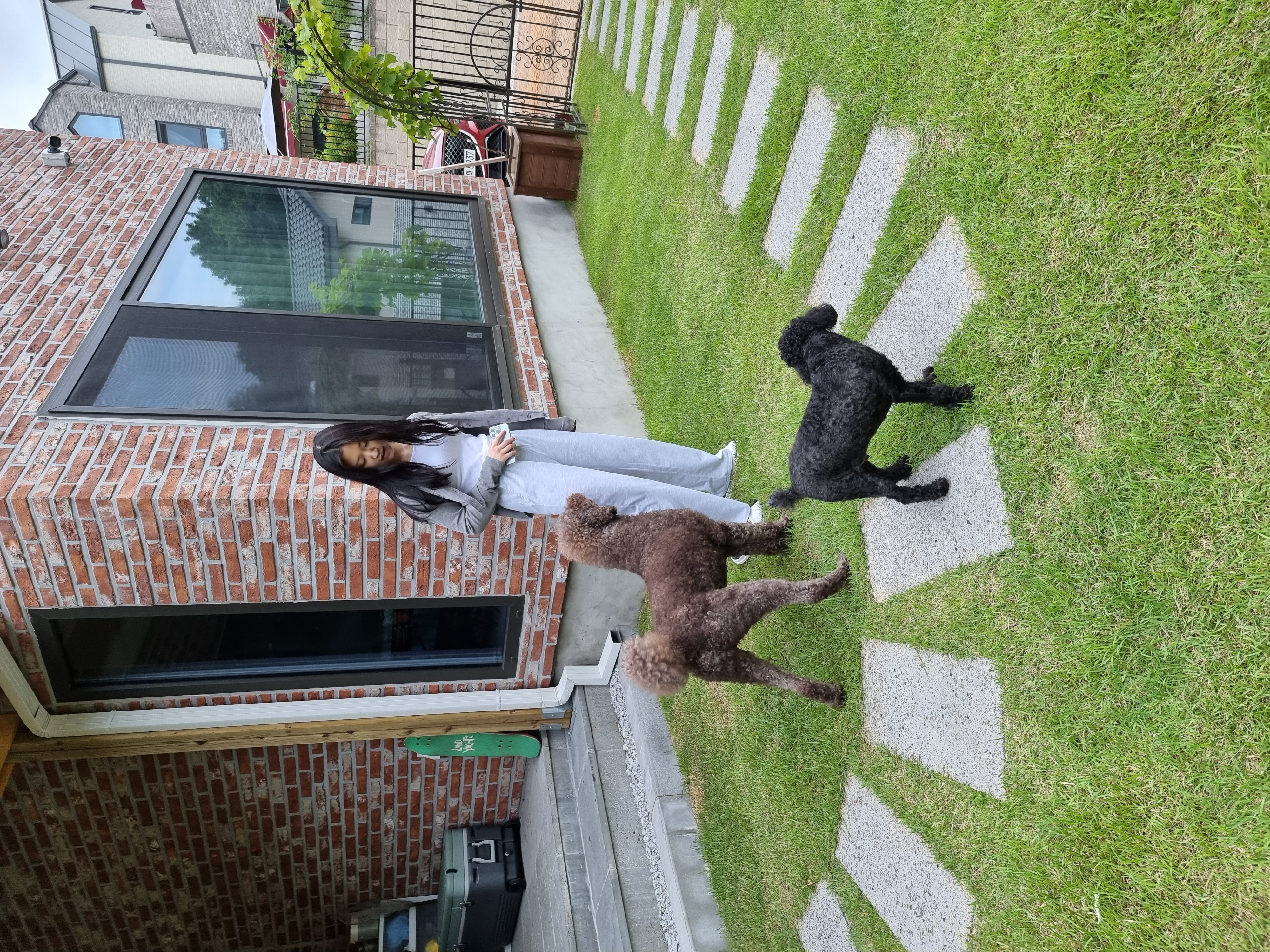 테라 입양 1년 후기(우리에게 온 귀한 선물)