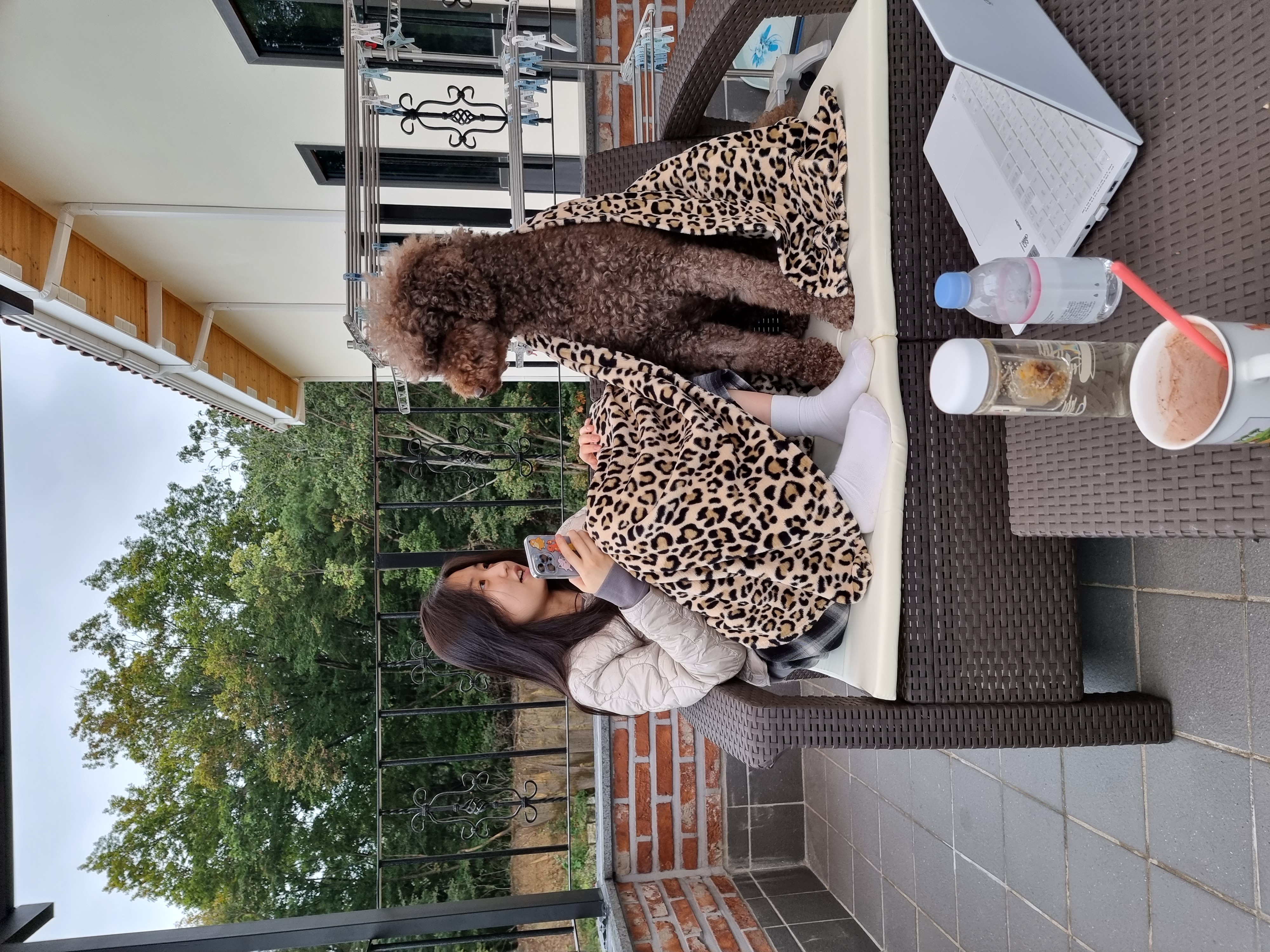 테라 입양 1년 후기(우리에게 온 귀한 선물)