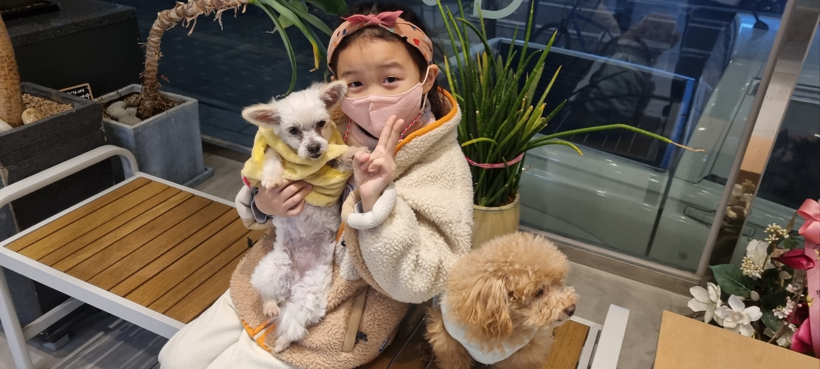 천안 아산 구조견 엘프 임보 일주일 후기 입니다 