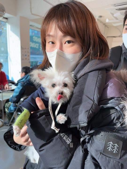 익준이 임보 3개월 차(입양해주세오)