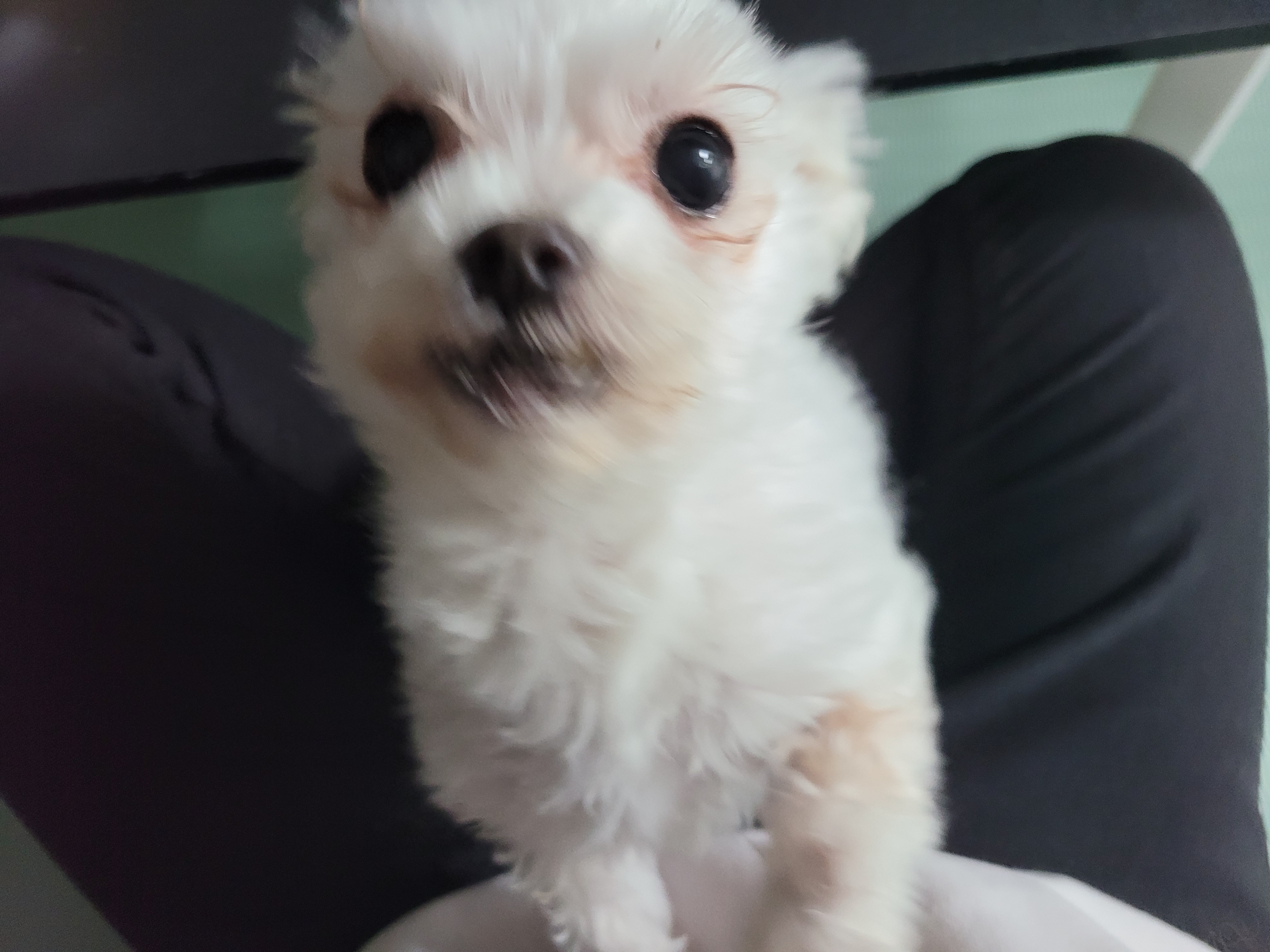 세라 임보일기 3!!!