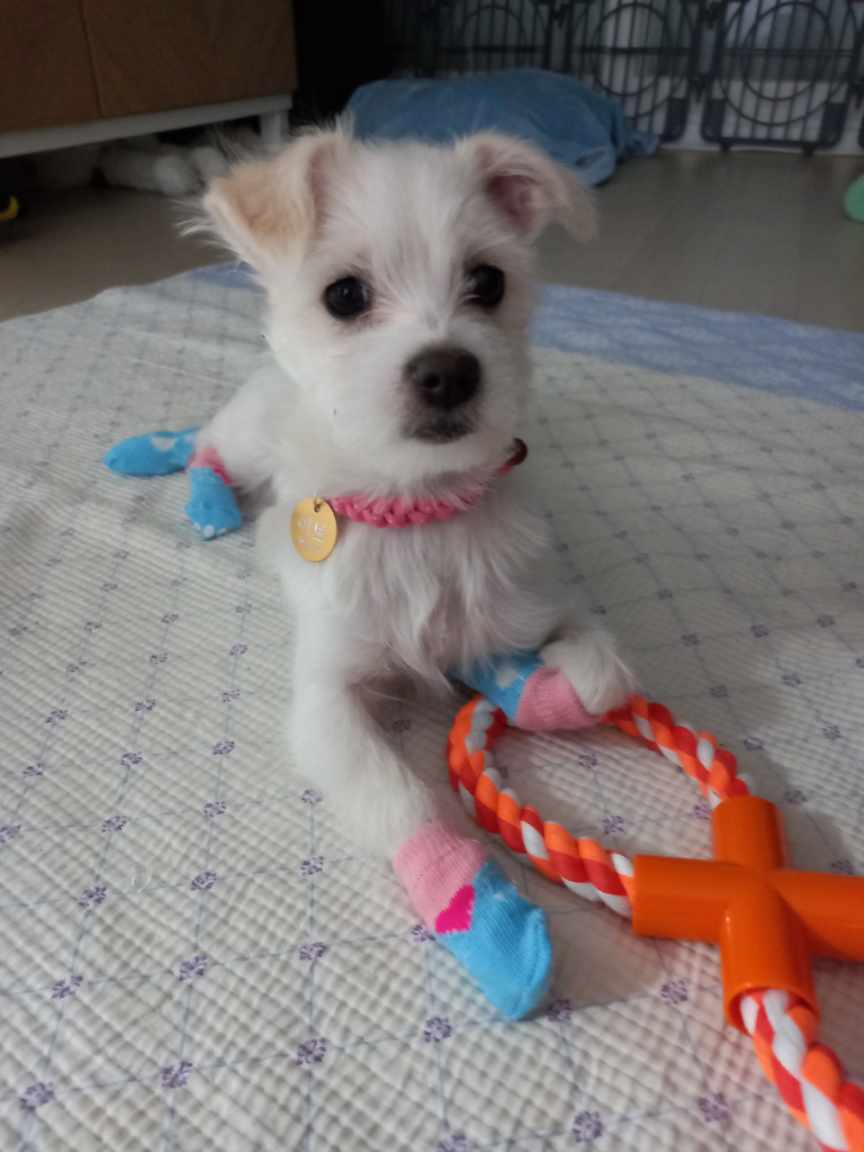 이브(원투) 가족들과 잘 지내고있습니다.