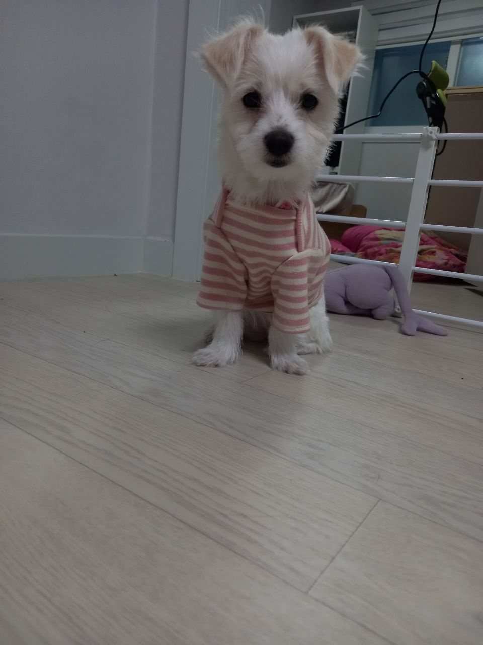 이브(원투) 가족들과 잘 지내고있습니다.