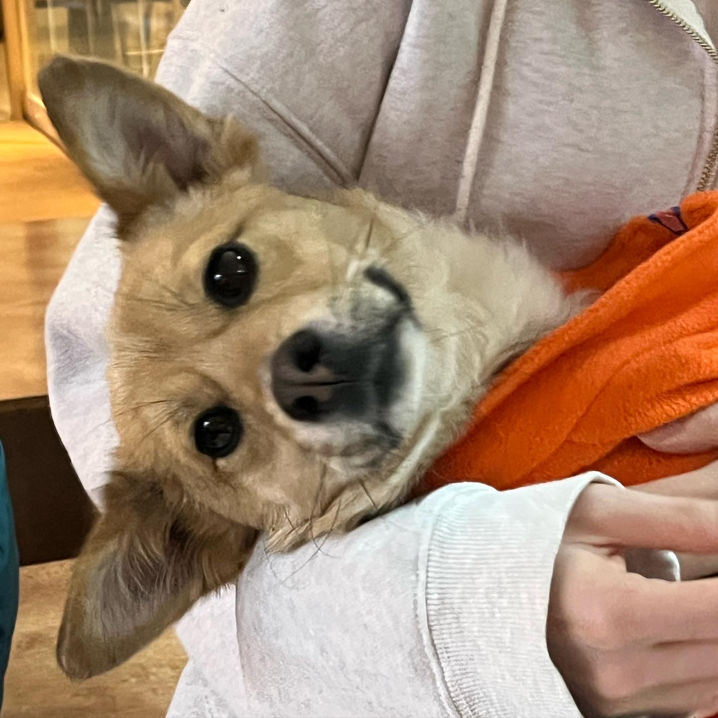 지구 임시보호 일기