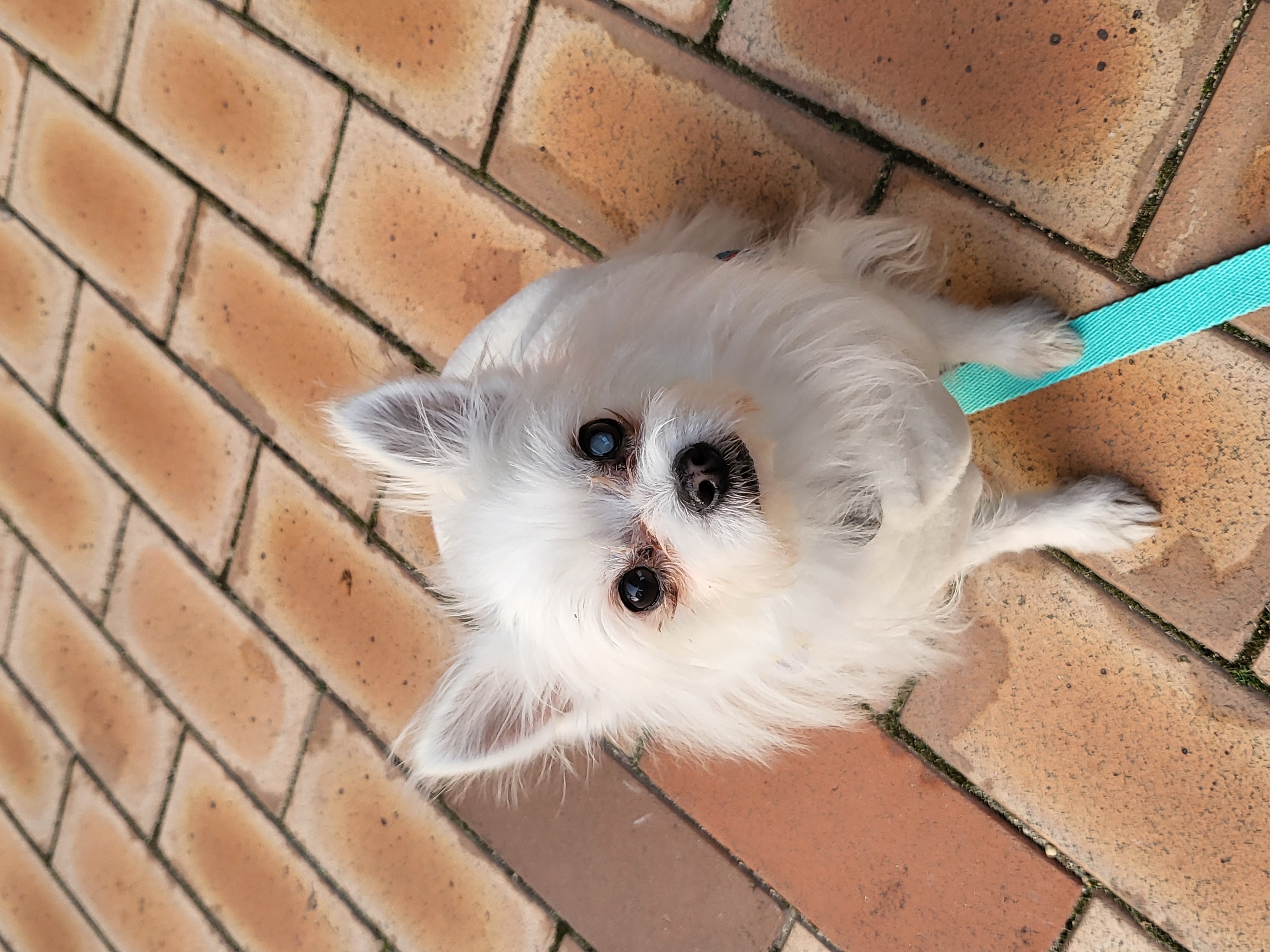 앙쥬랑 함께한 3개월