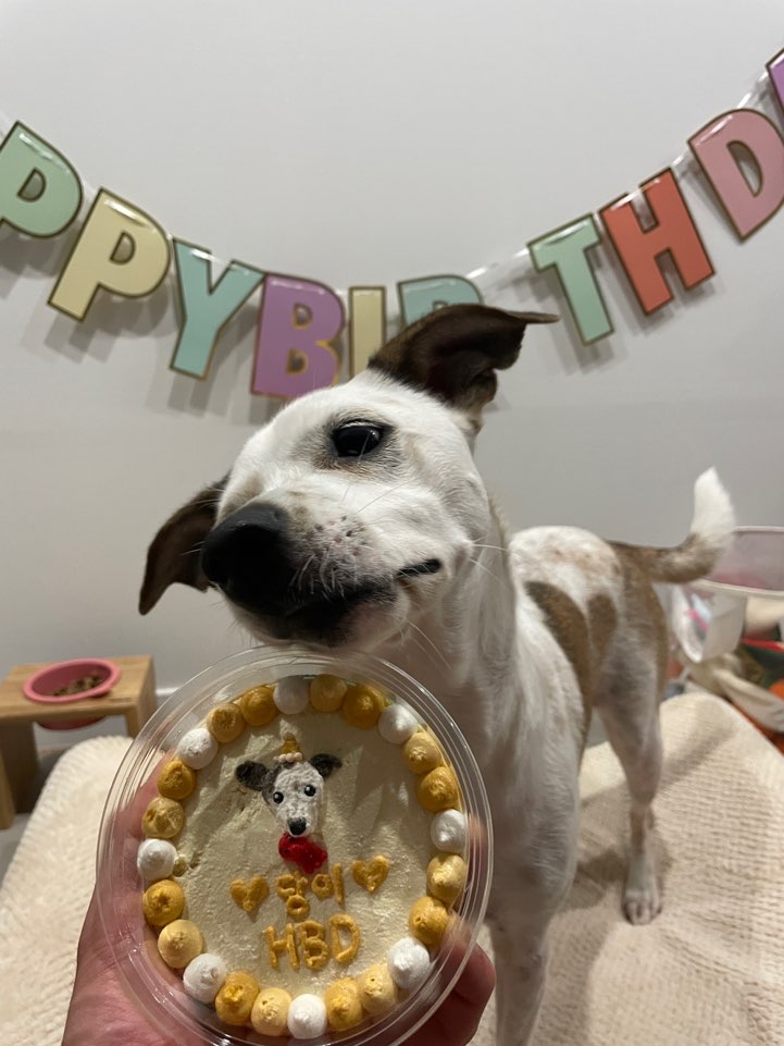 당이(도도)근이(그삼이)