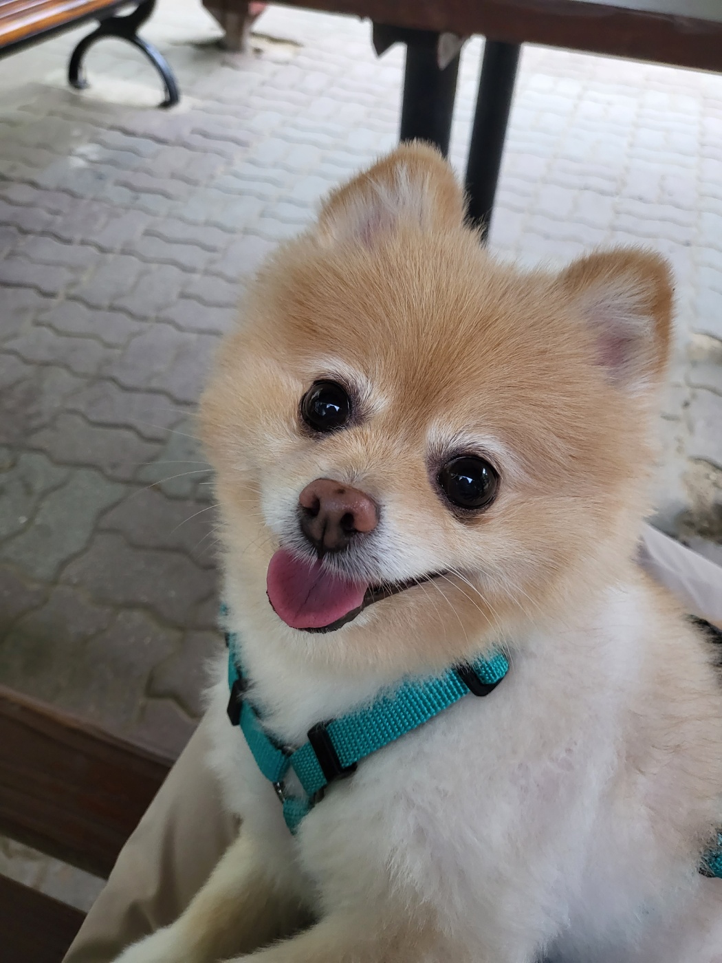 슬기 잘 있어요~^^