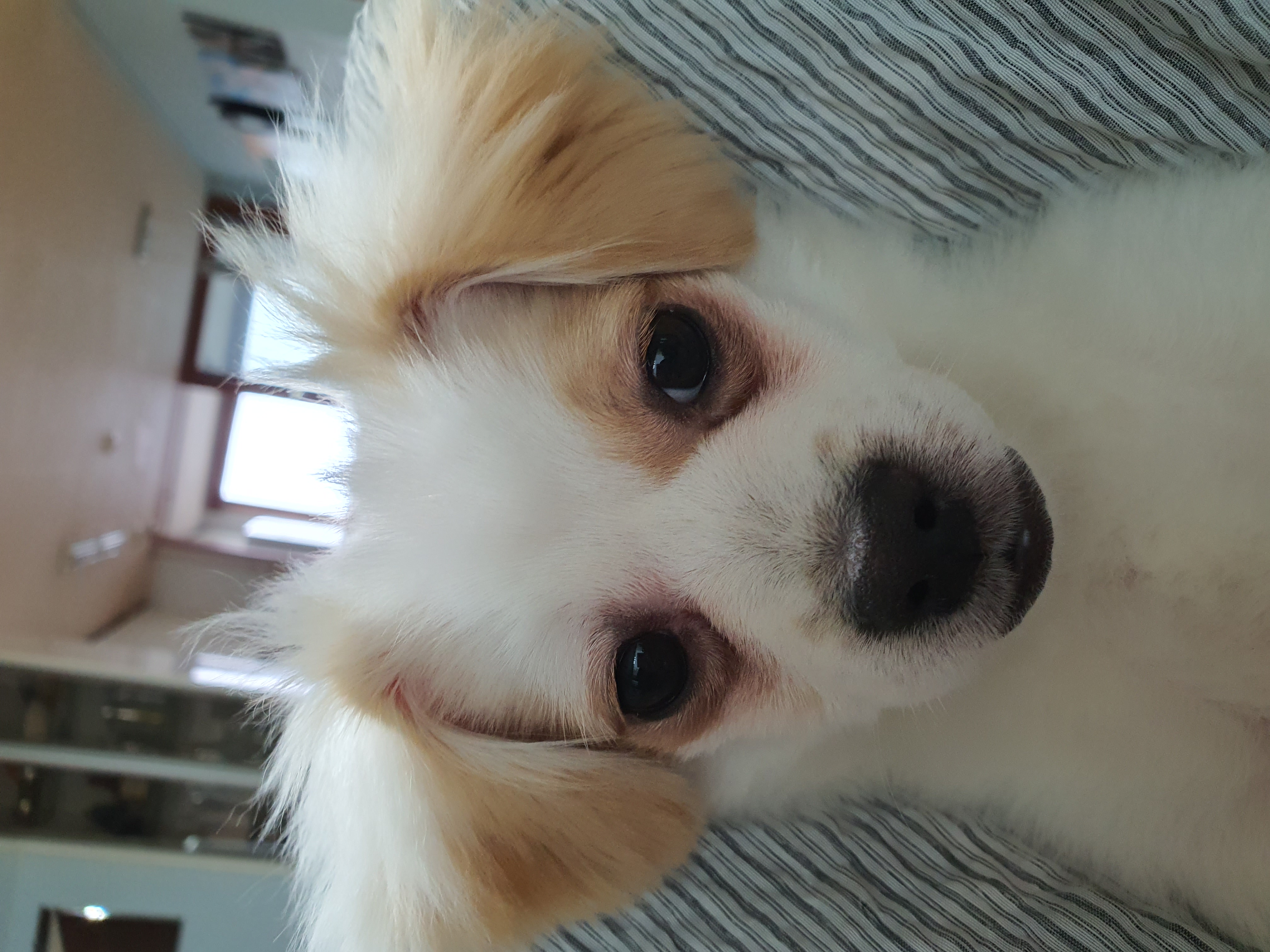 쭈니(투투) 잘 살고있어요~