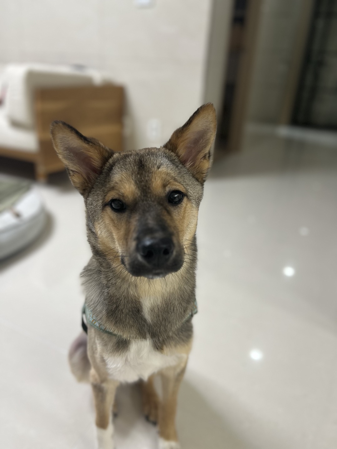 (구,강식) 테오의 석달 가족일기 