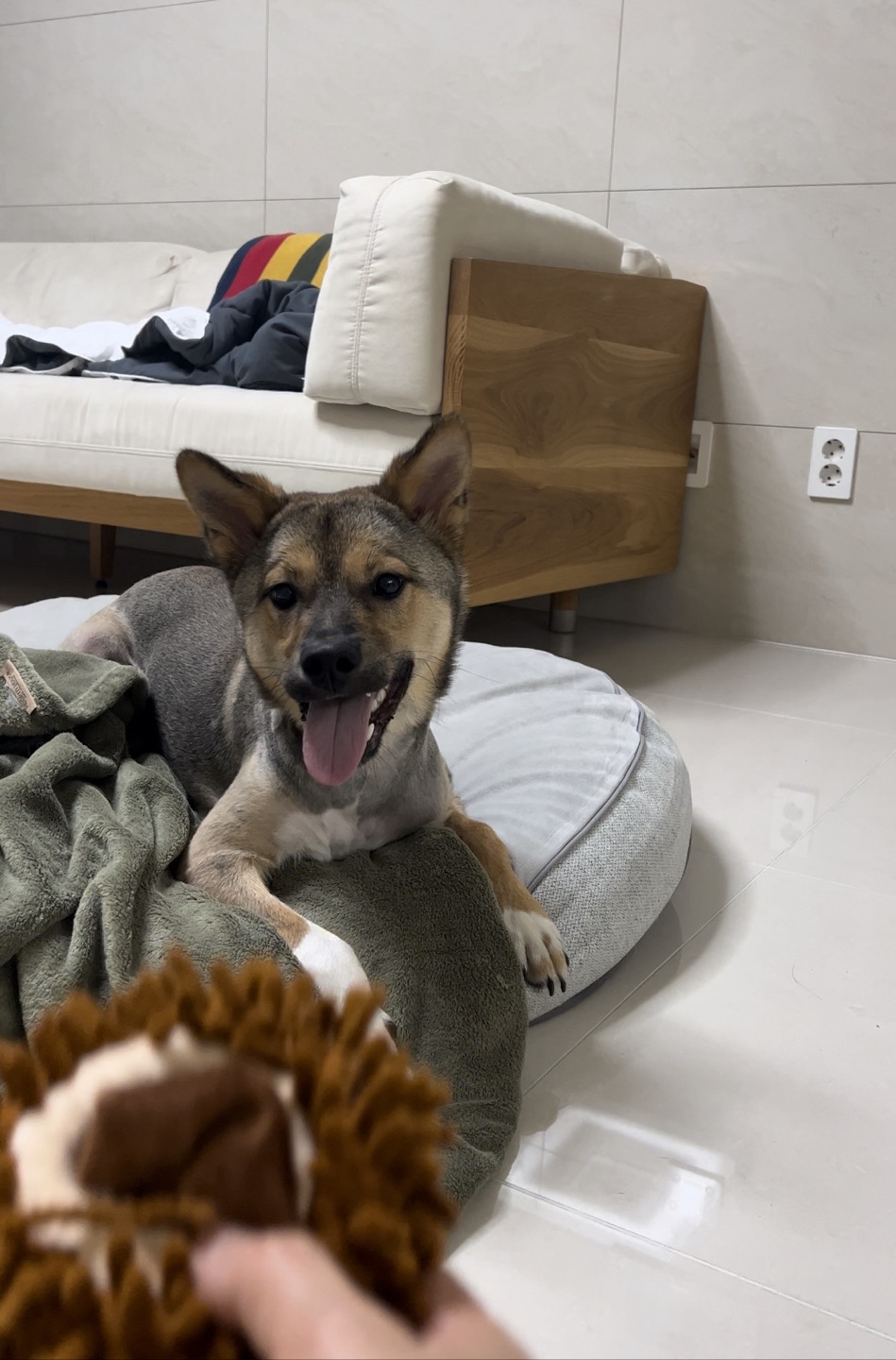 (구,강식) 테오의 석달 가족일기 