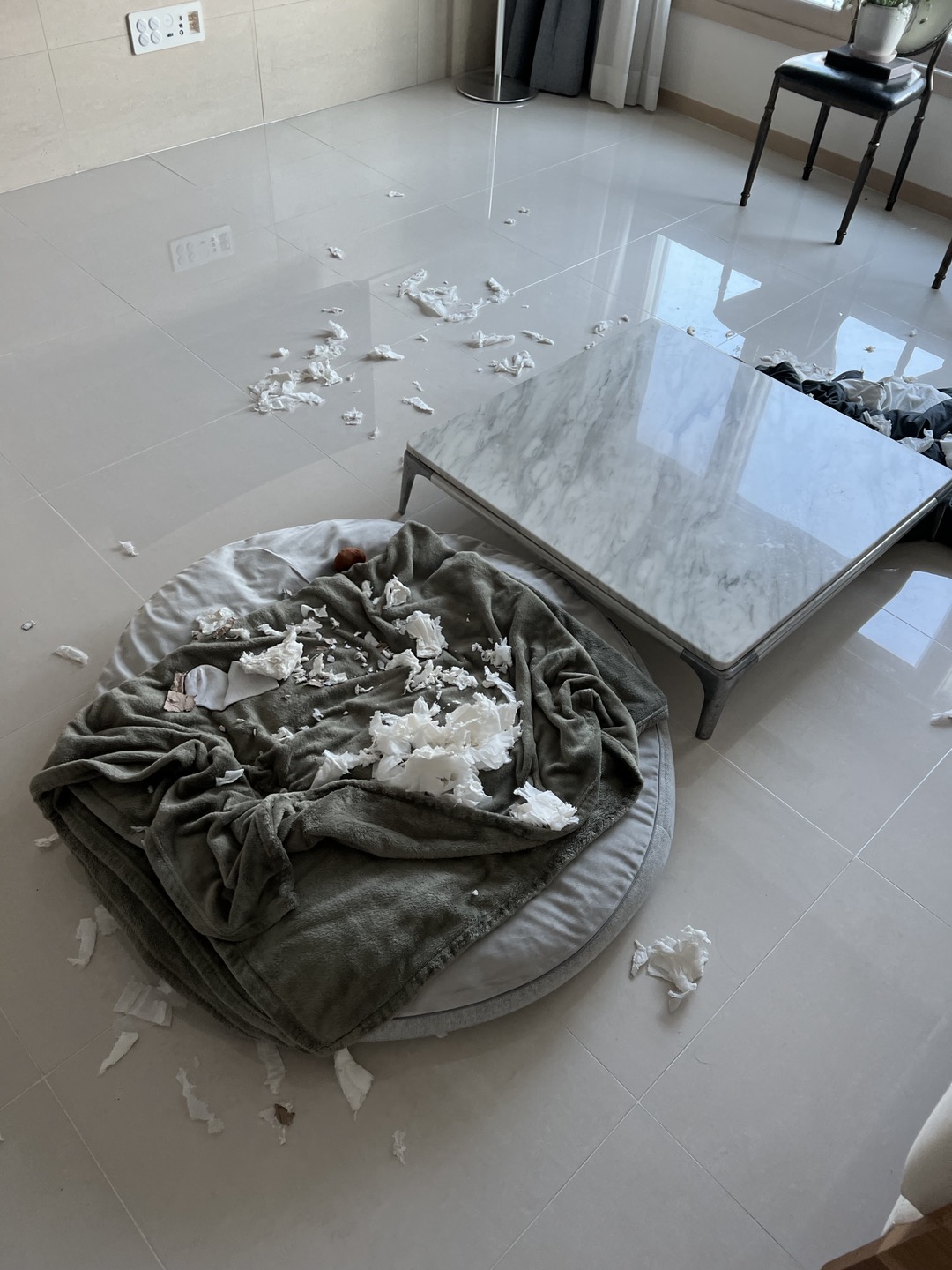 (구,강식) 테오의 석달 가족일기 