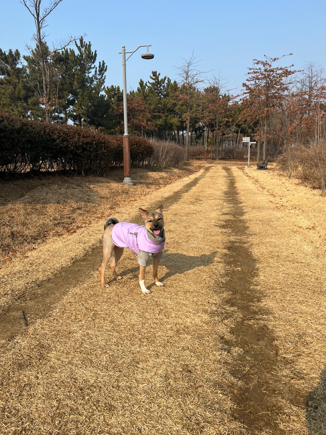 (구,강식) 테오의 석달 가족일기 