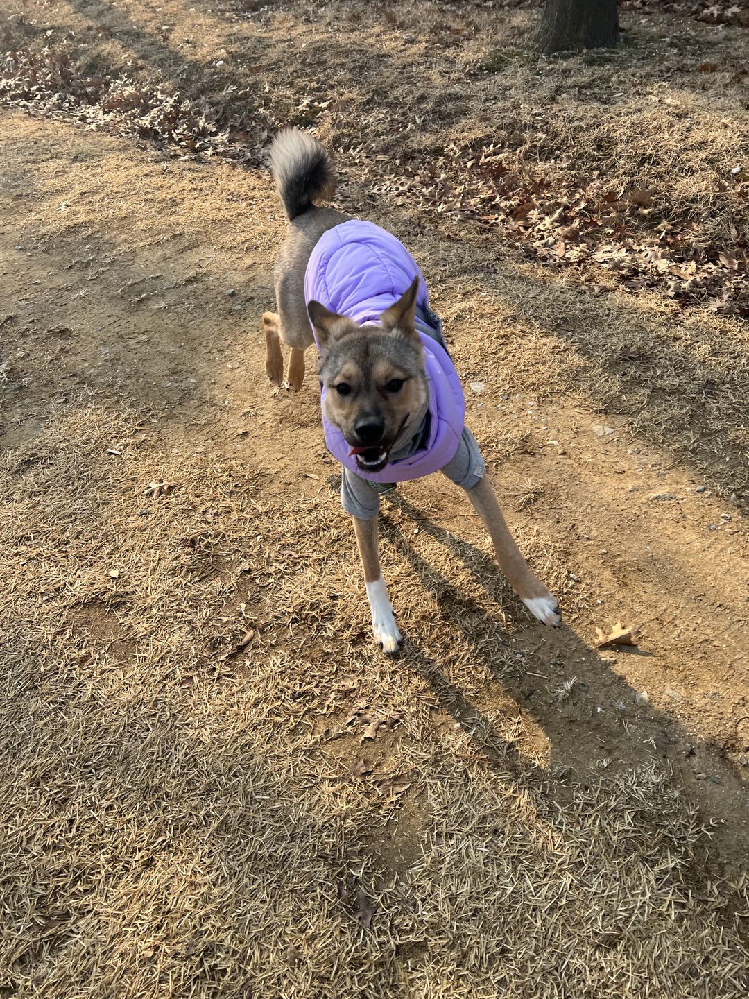 (구,강식) 테오의 석달 가족일기 