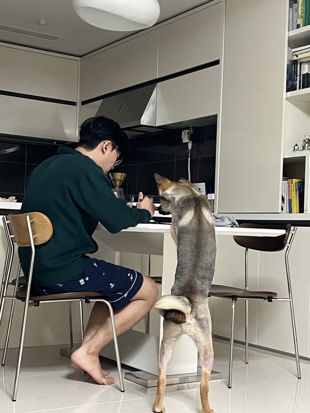 (구,강식) 테오의 석달 가족일기 