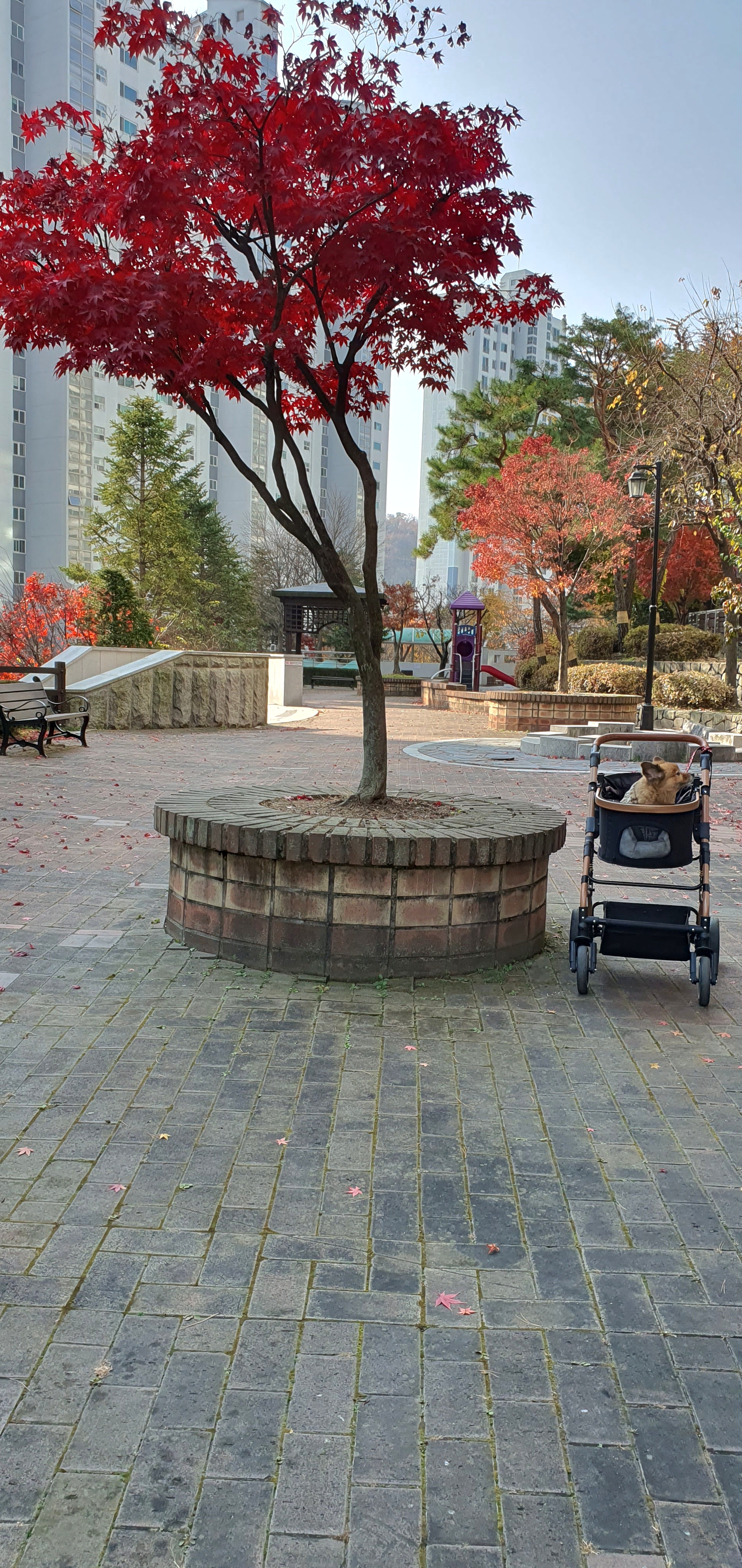 멜란이 2년차 후기