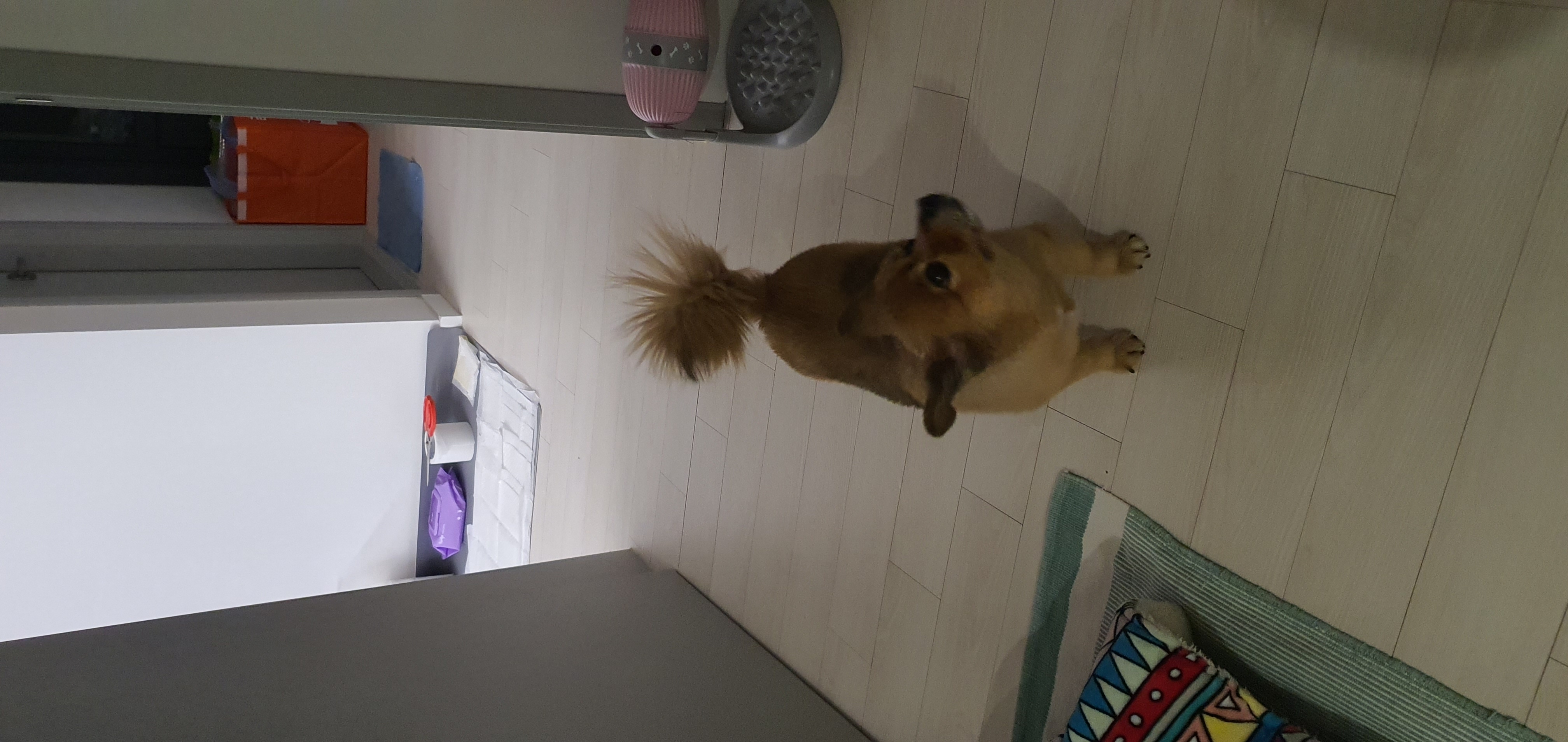 멜란이 2년차 후기