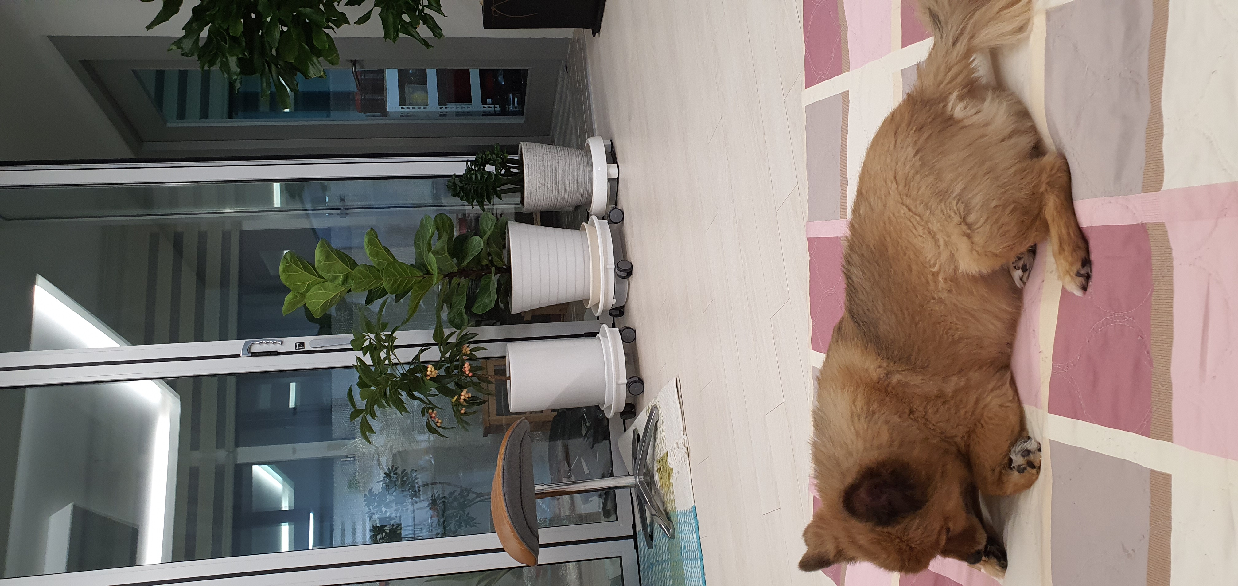 멜란이 2년차 후기