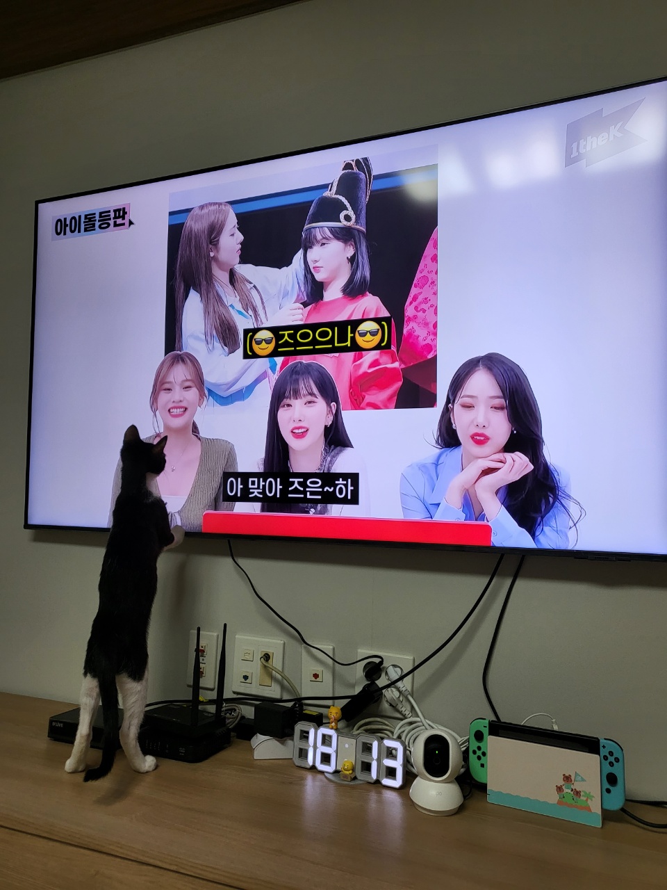 코코(민국) 소식입니다~