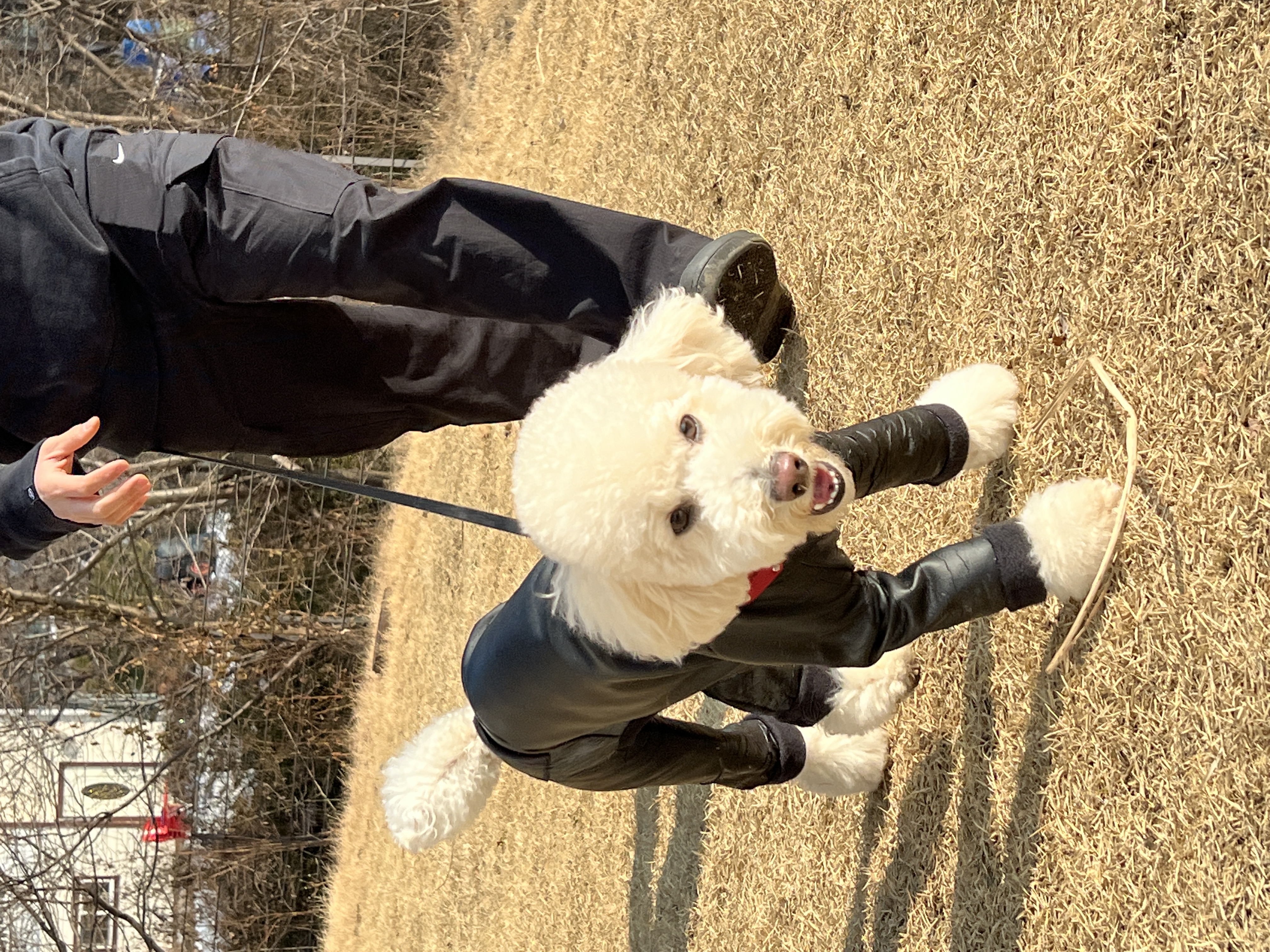 보리(푸미 넷째푸사)2년차