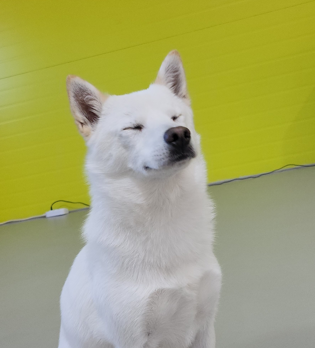 하늘이 2년 근황(구 엘리나)