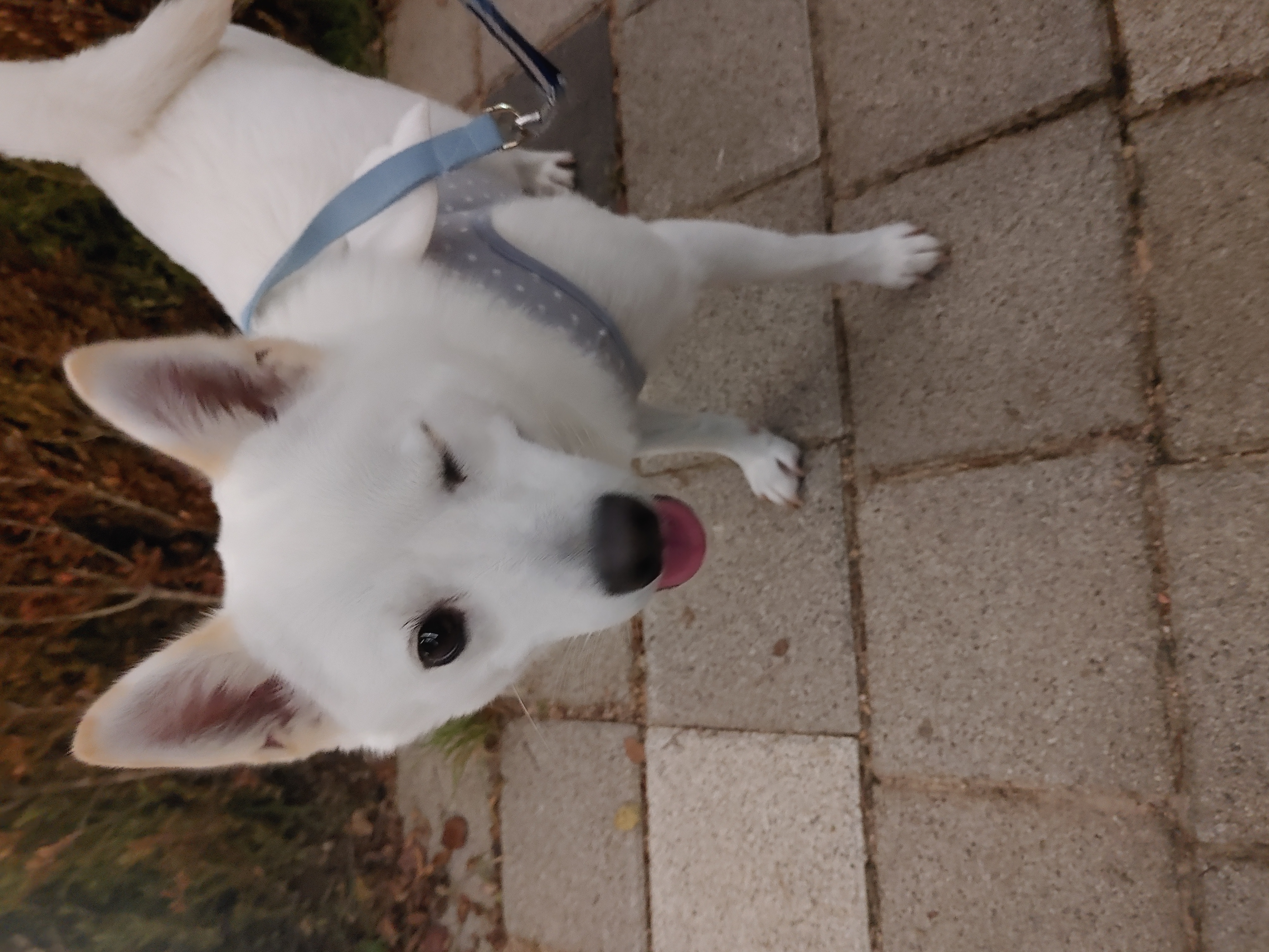 하늘이 2년 근황(구 엘리나)