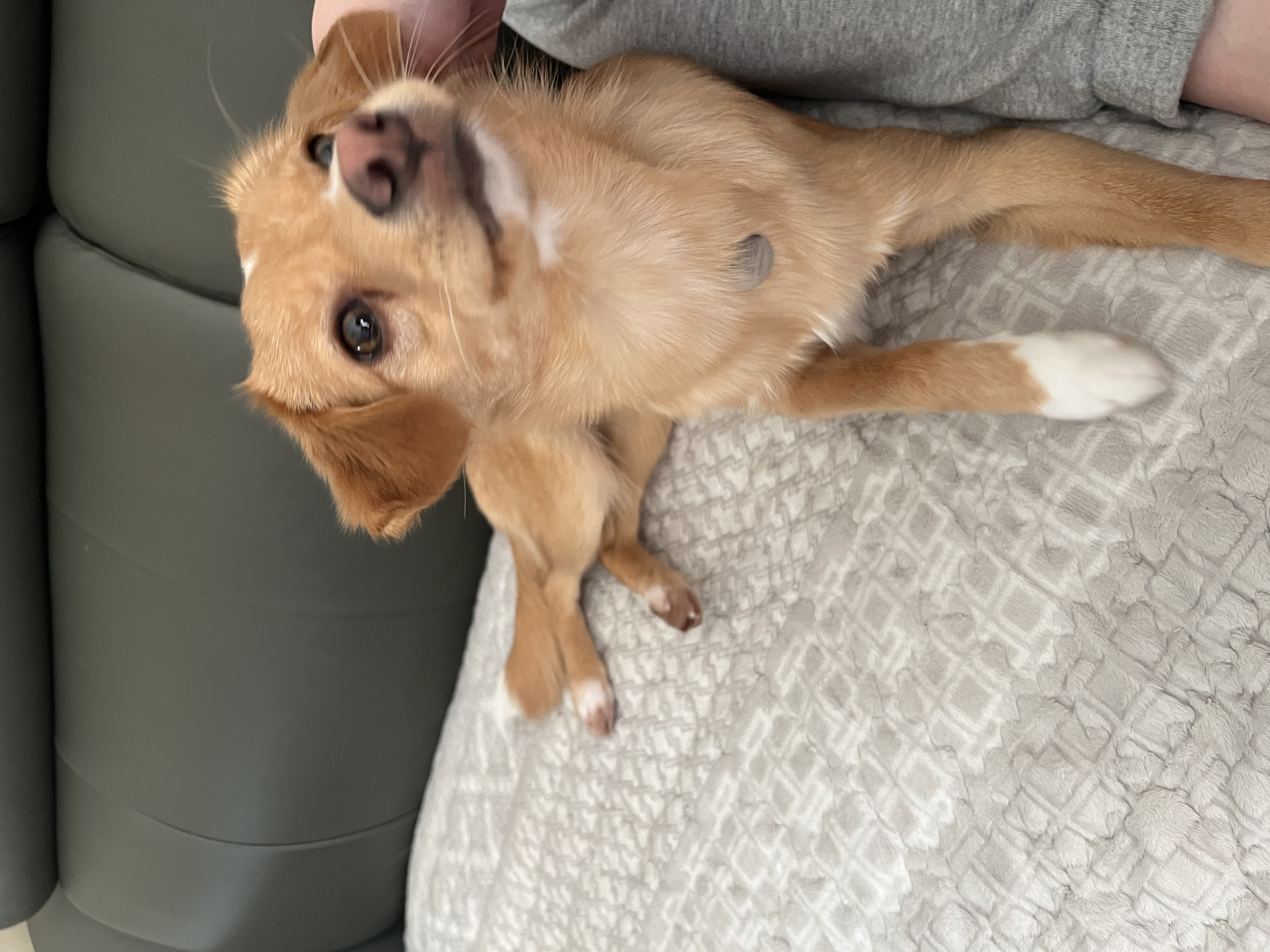 뽀또(이포)의 행복한 막내일기 <1>