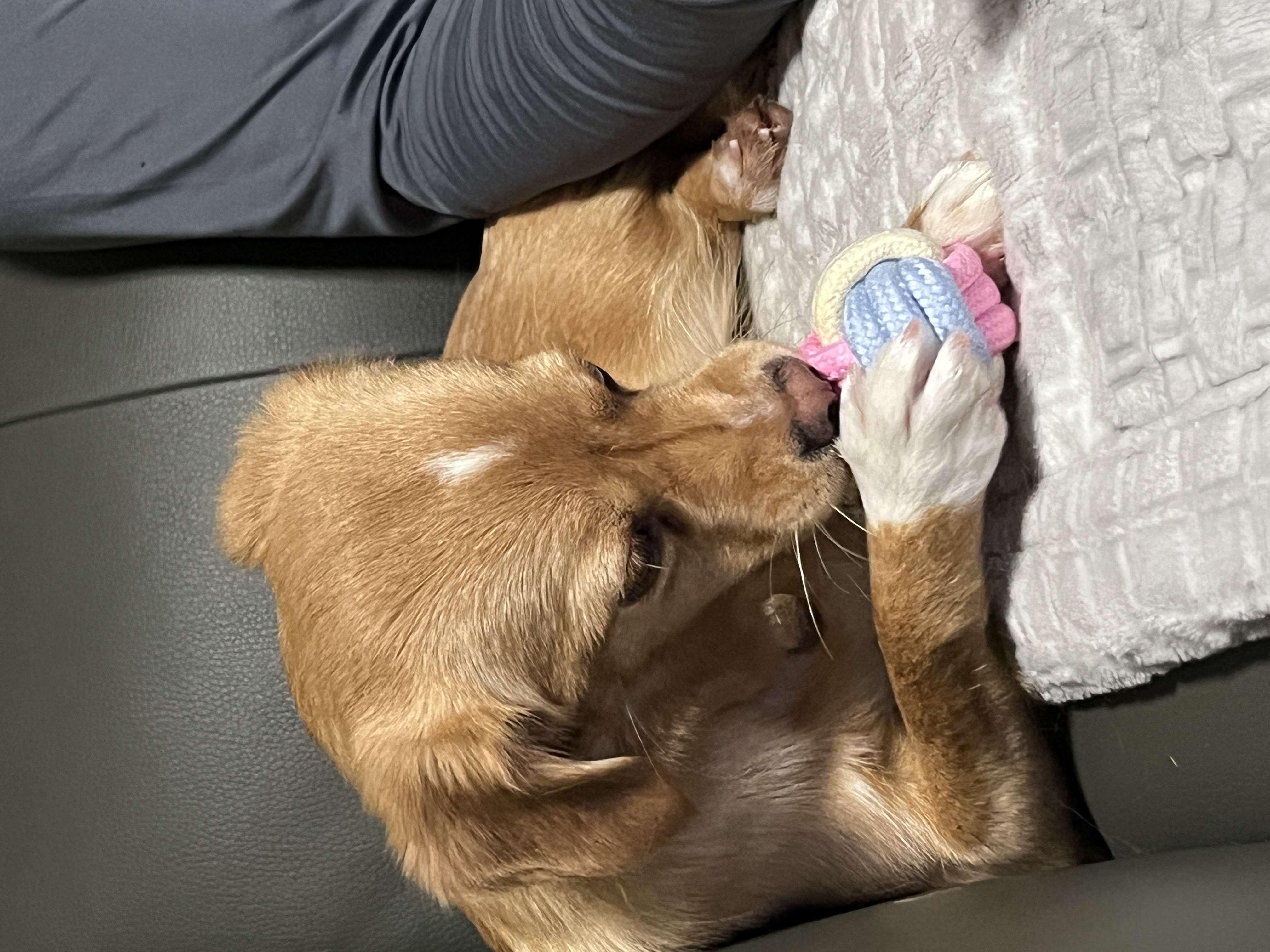 뽀또(이포)의 행복한 막내일기 <1>