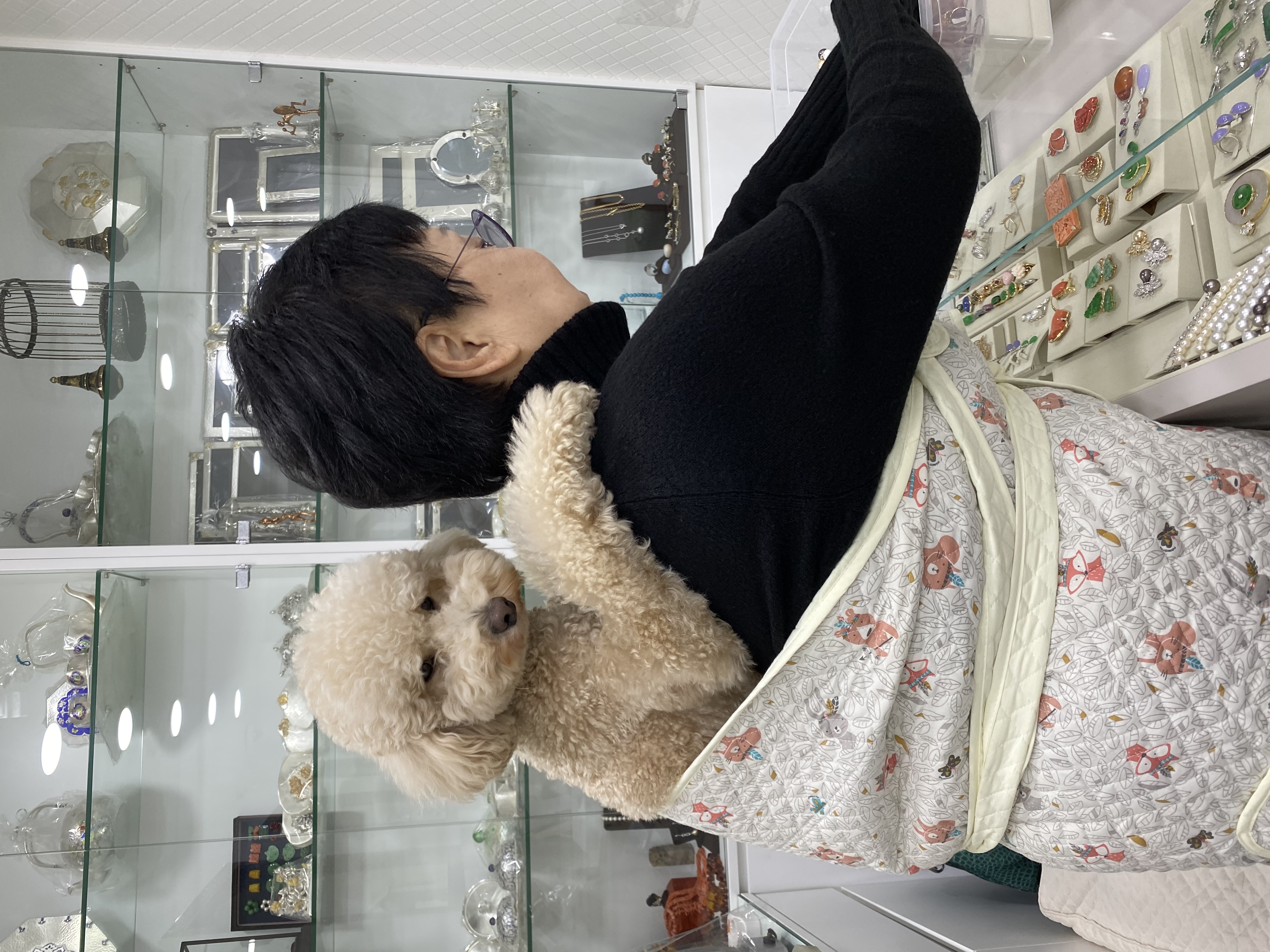 도담이(곤지암푸삼) 입양 2년차 후기