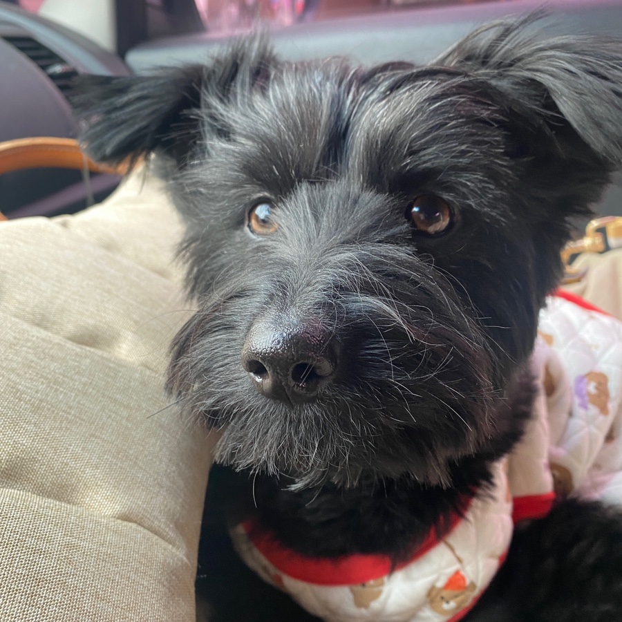 댄과 함께한 1년 :)