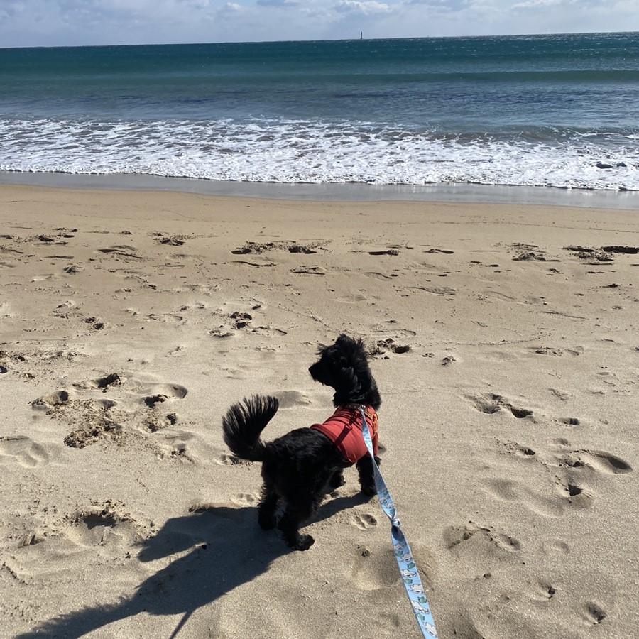 댄과 함께한 1년 :)