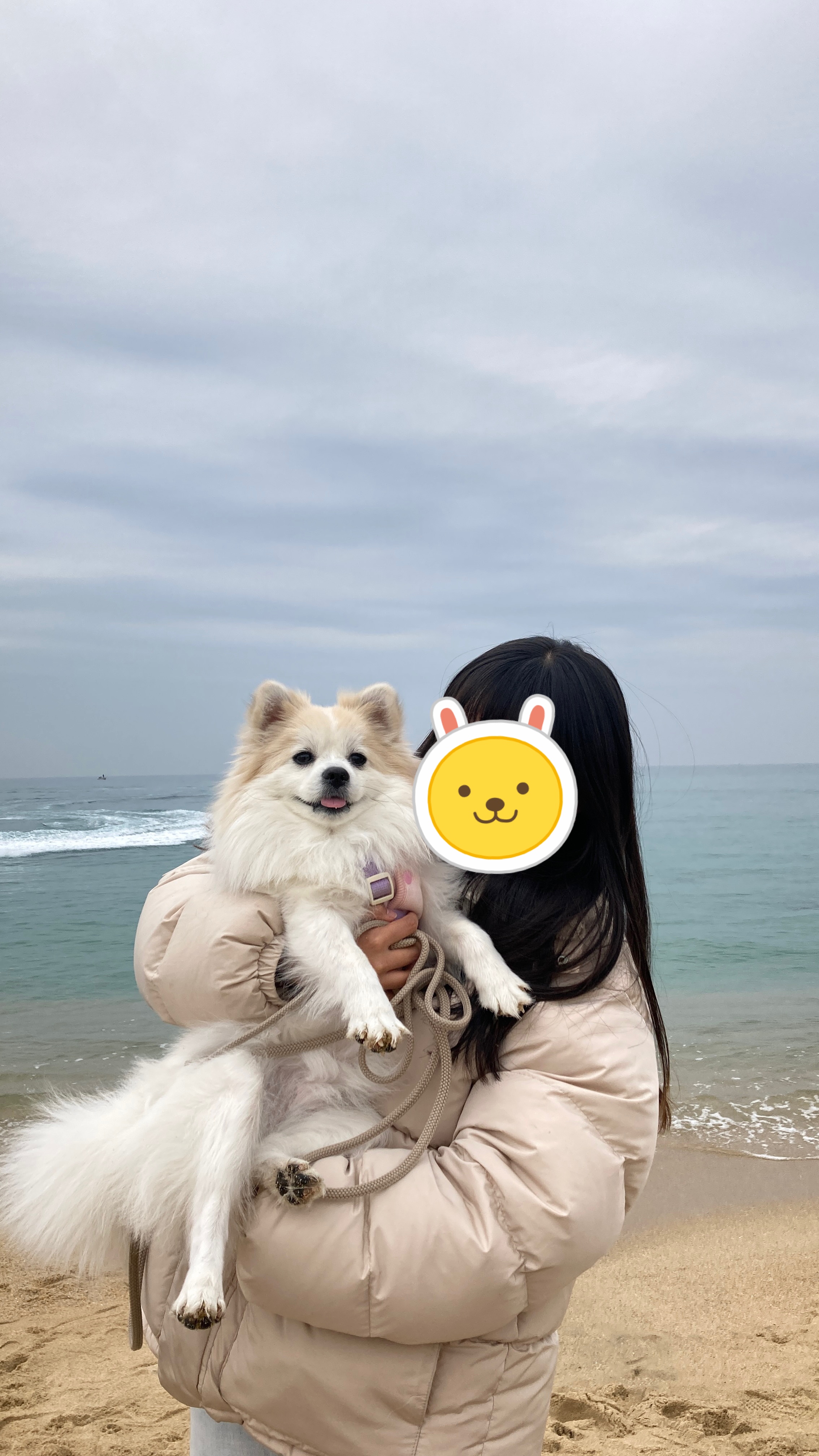 뽀또(마일이) 근황~