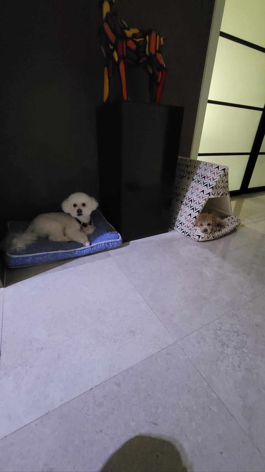 해리입양 7일차 이야기에요~