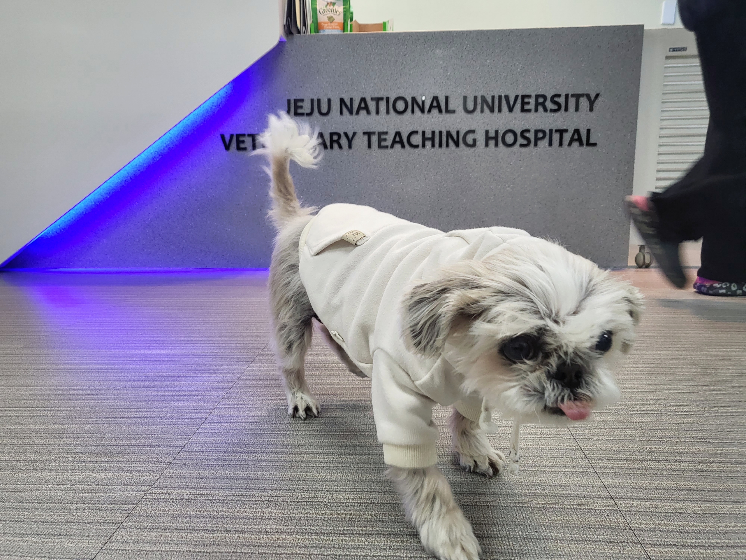 율무, 수수(춘식이) 딱 일주일 됐네요