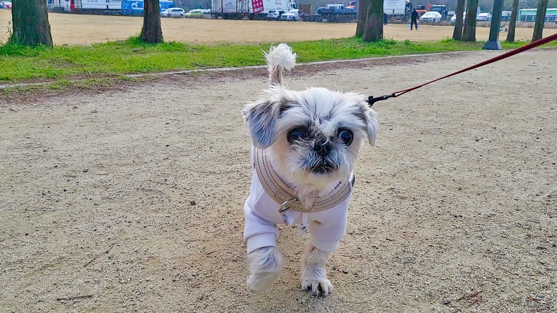 율무, 수수(춘식이) 딱 일주일 됐네요