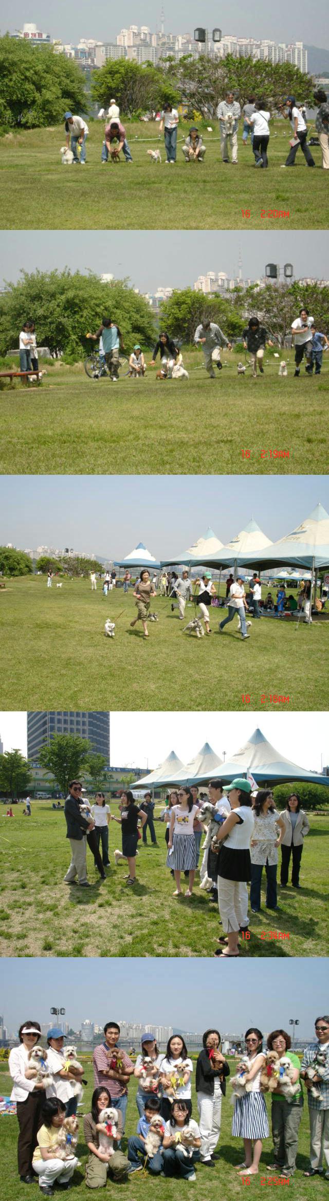 [사진]2005년 입양동물과의 만남