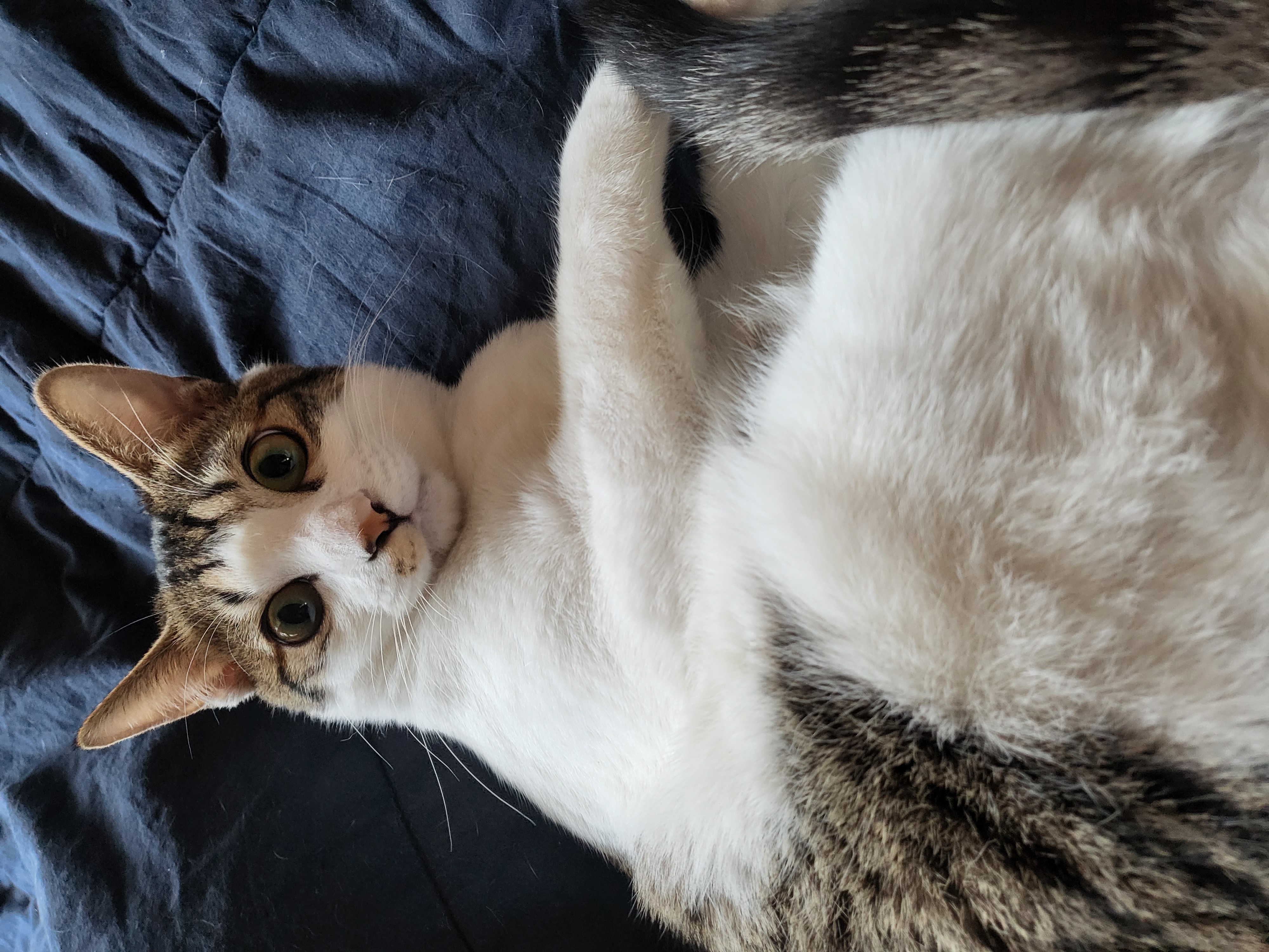 탄이(해성이)를 확대중입니다.