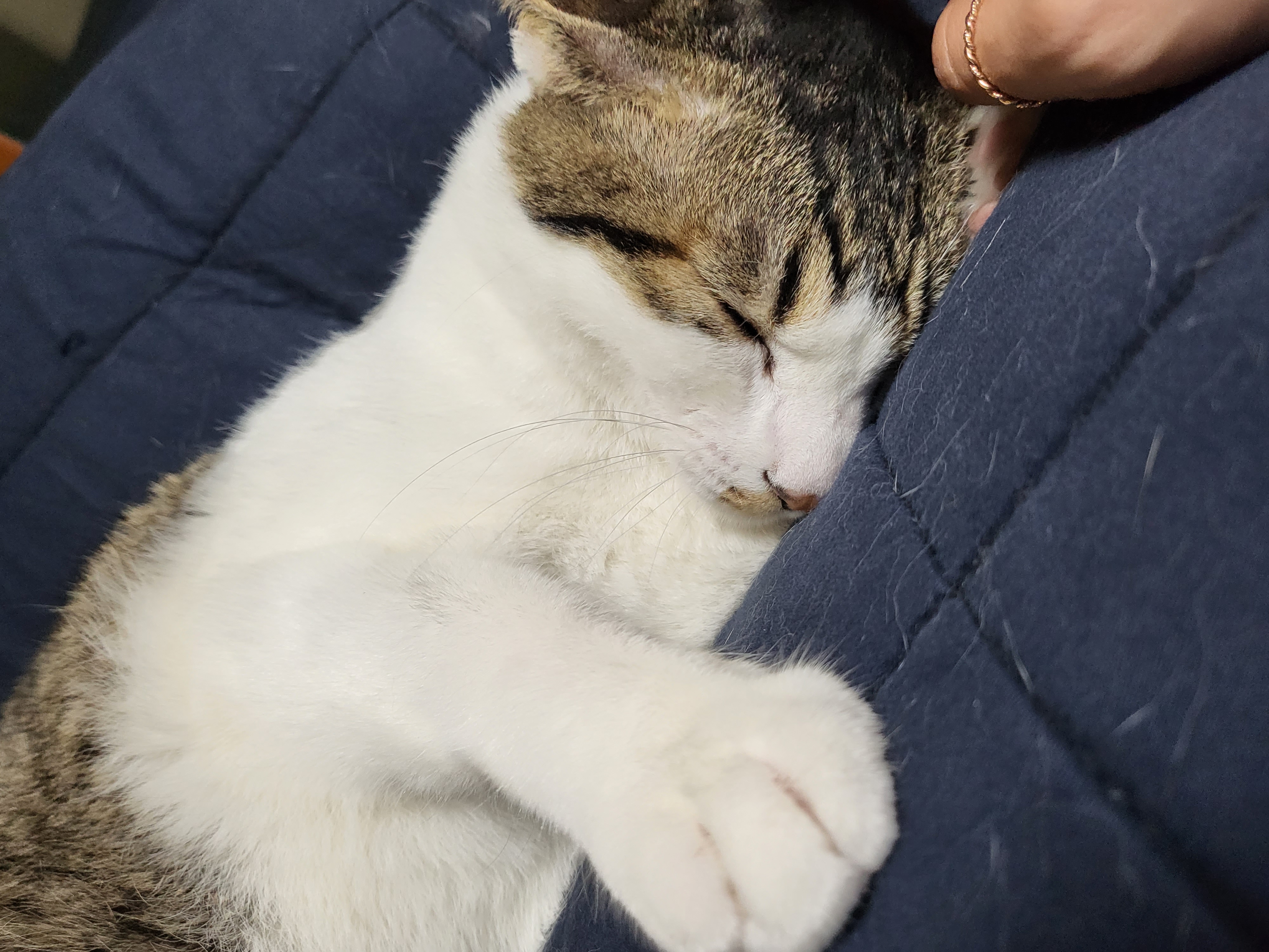 탄이(해성이)를 확대중입니다.