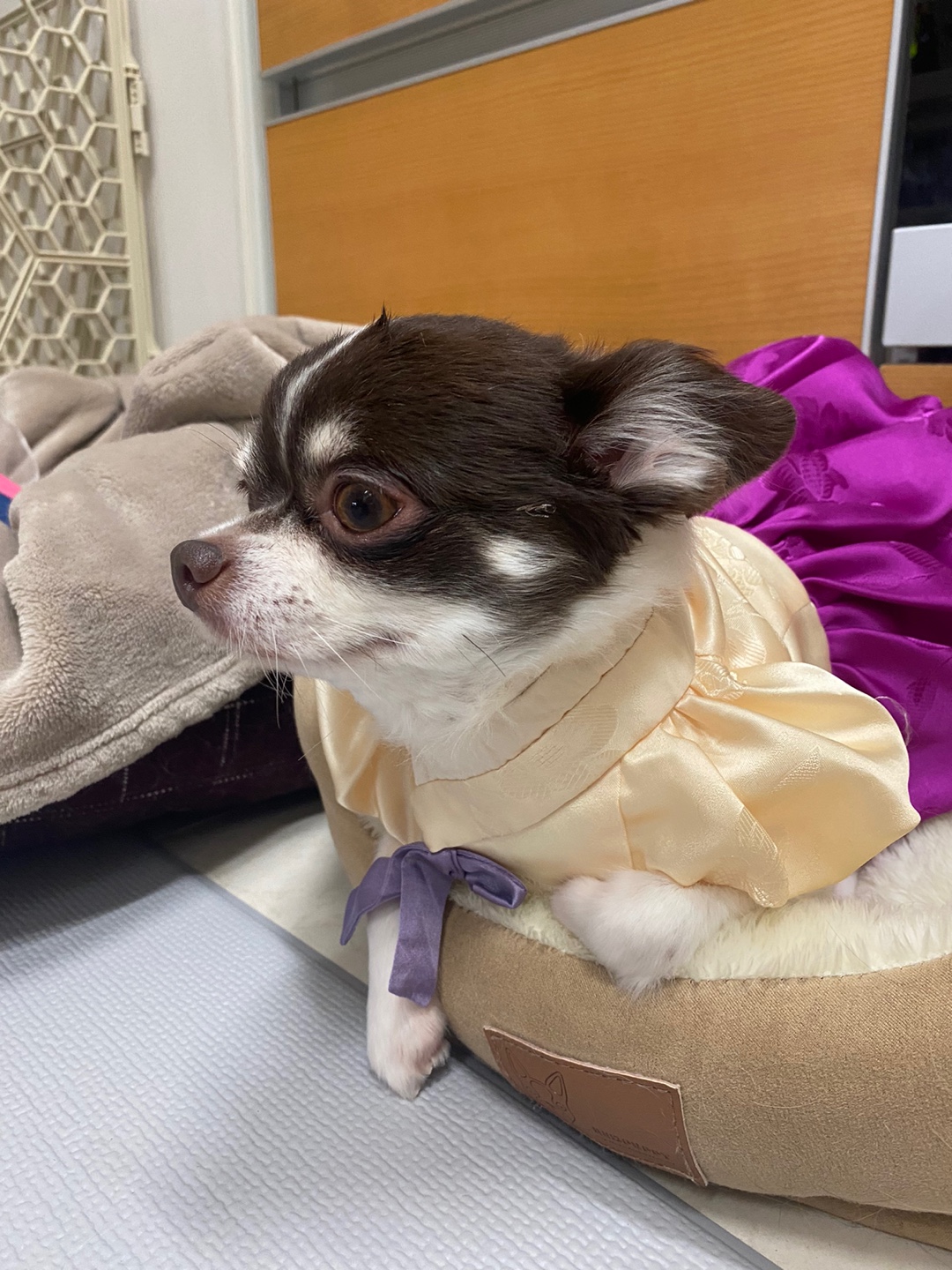 오즈 네티 잘있어요