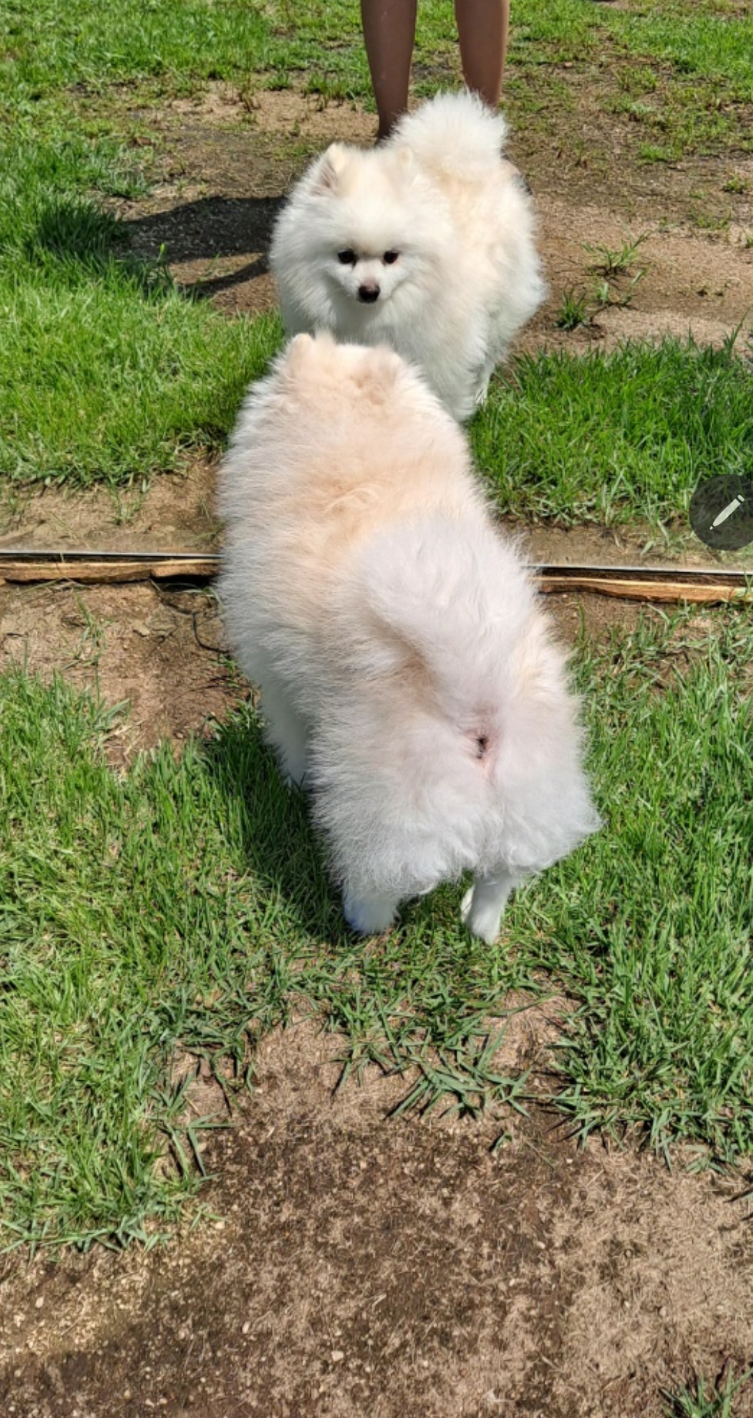 만두(아라)와 1년후기