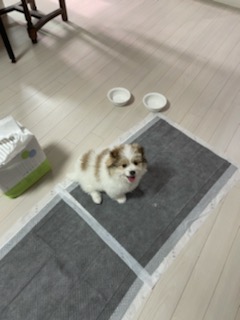 짱무 소식 전해드려요~