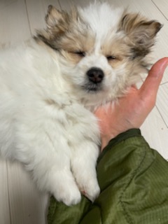 짱무 소식 전해드려요~