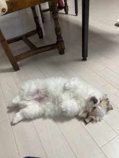 짱무 소식 전해드려요~