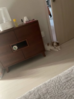 짱무 소식 전해드려요~