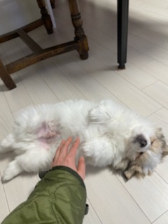 짱무 소식 전해드려요~